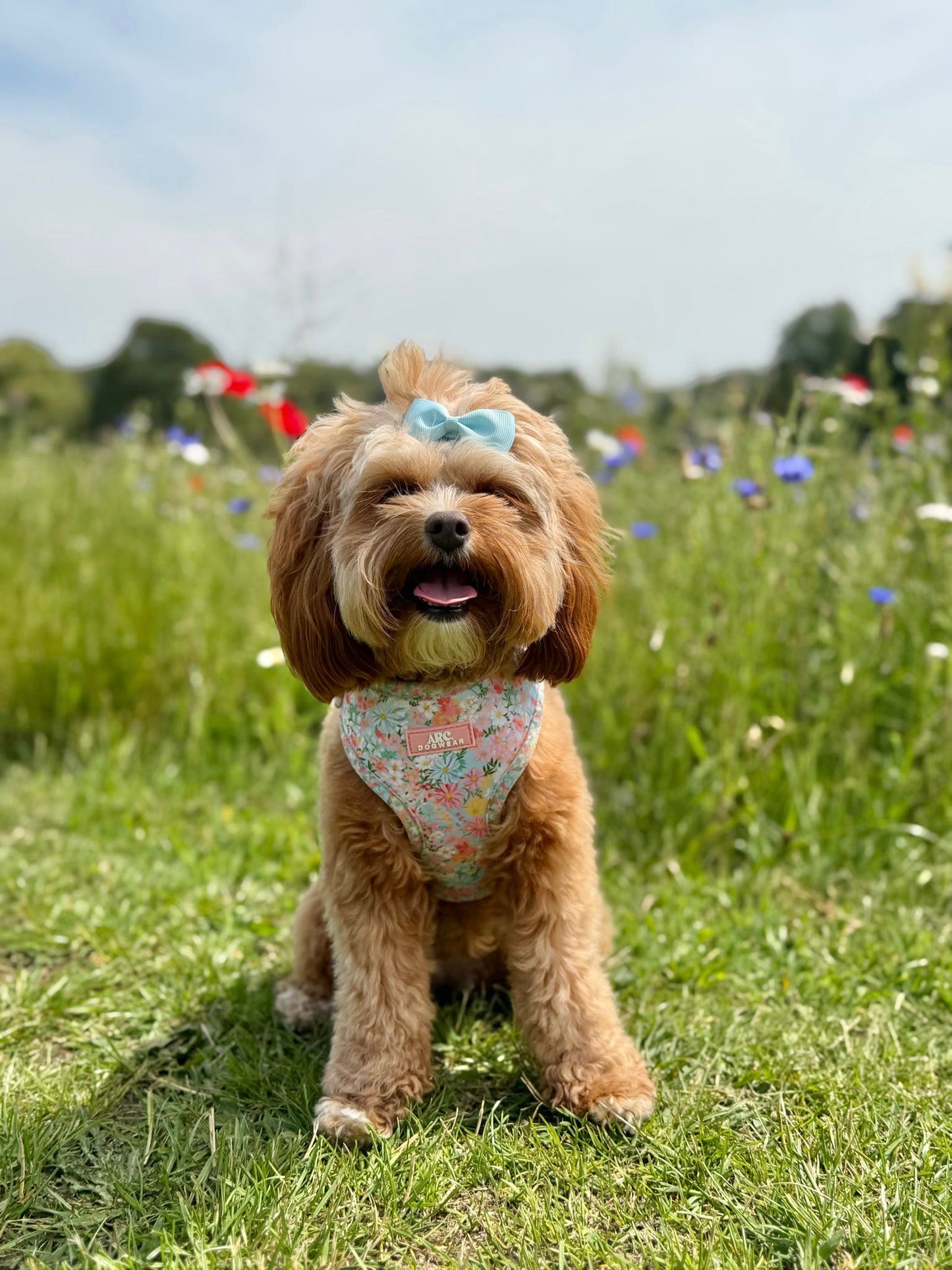 Flora Adjustable Harness