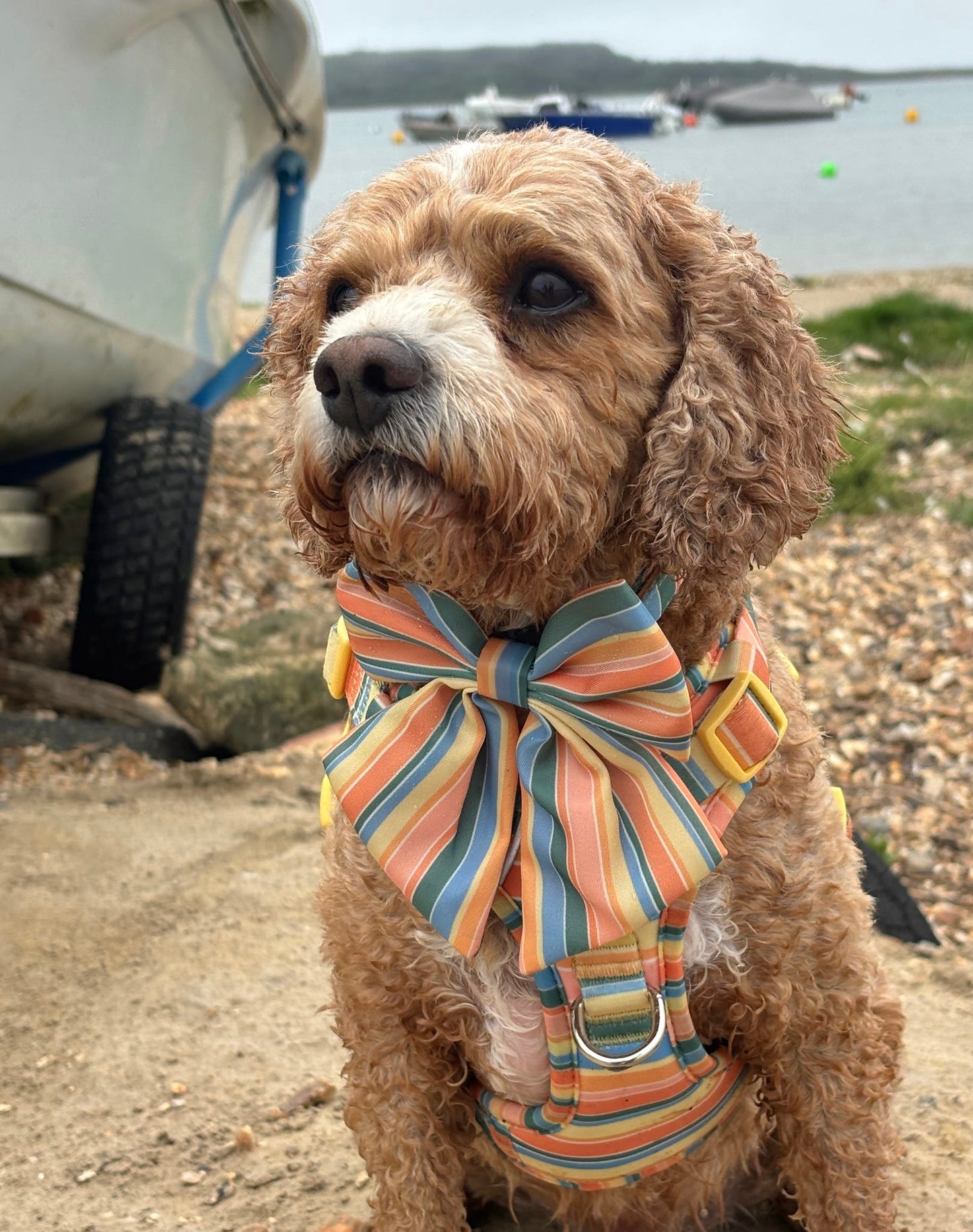 Sete Sailor Bow (Longer Tails)