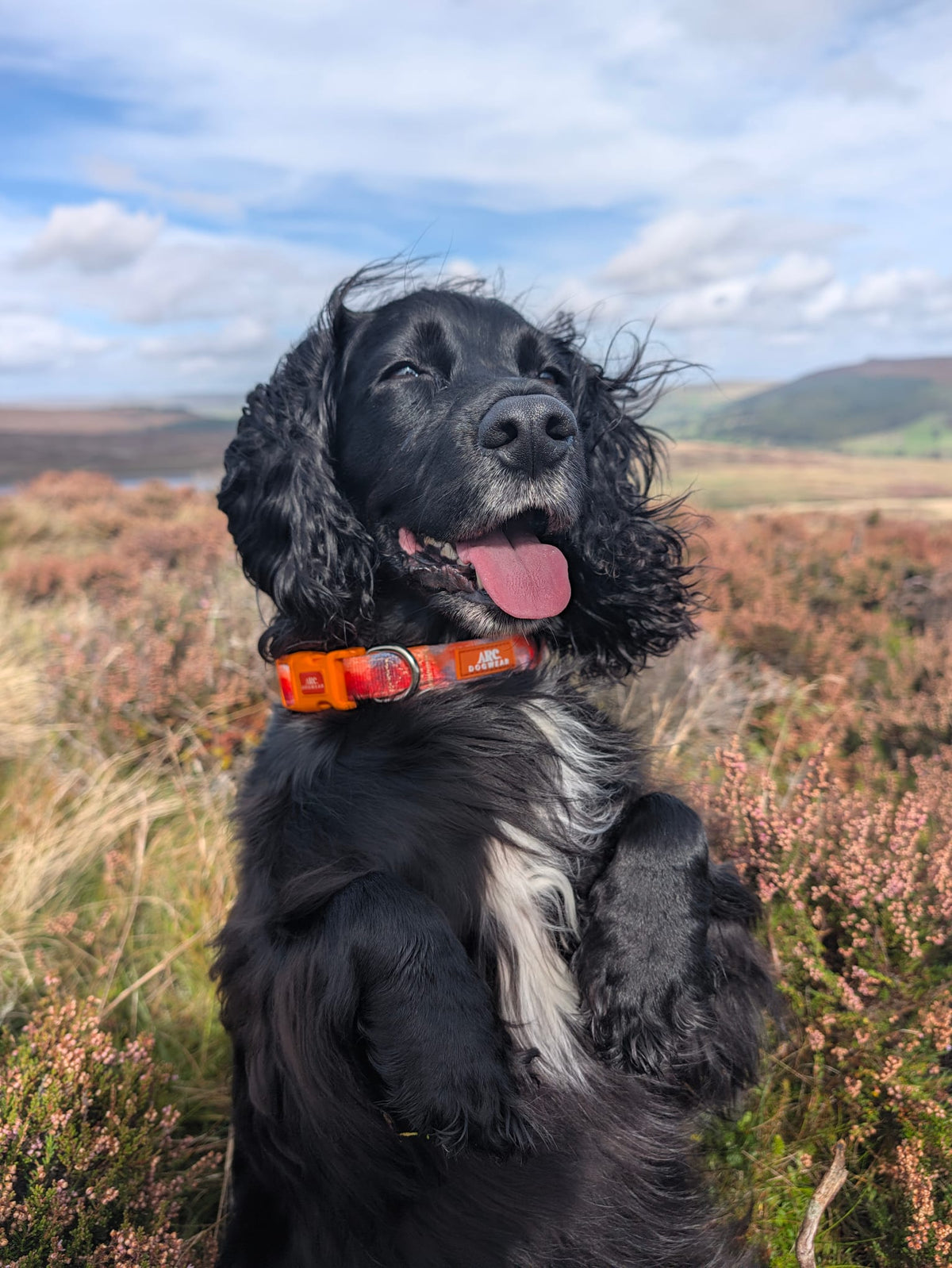 Canopy Adjustable Collar