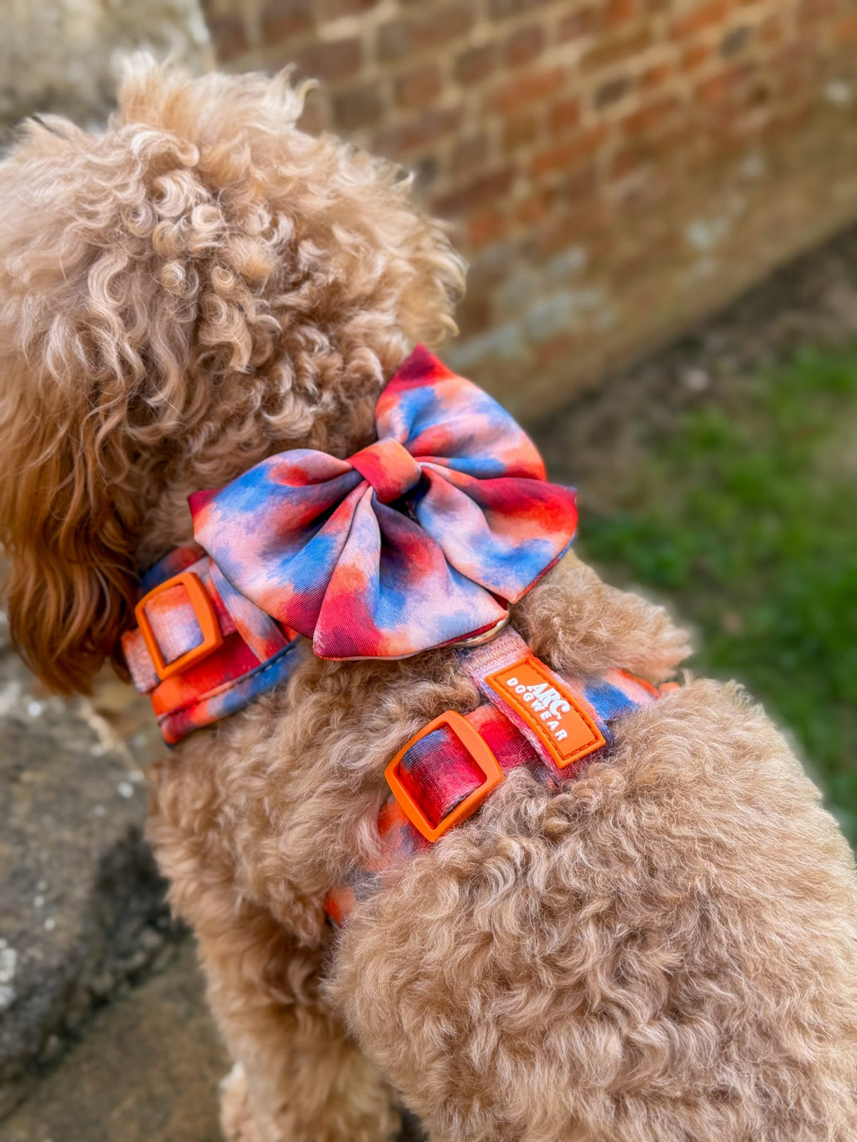 Canopy Sailor Bow