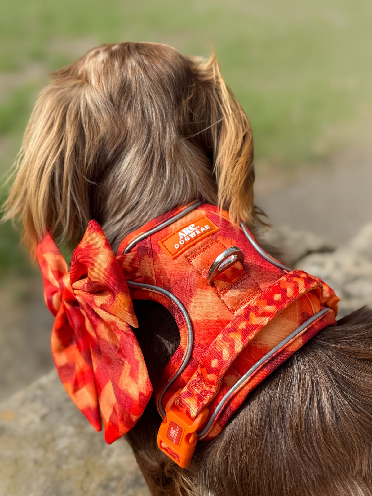 Auburn ARC. Adventurer Harness - New Size Guide