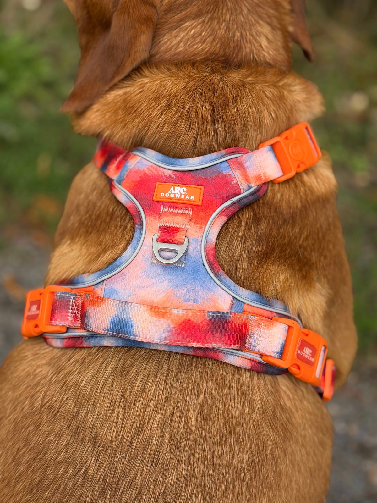 Canopy ARC. Adventurer Harness - New Size Guide