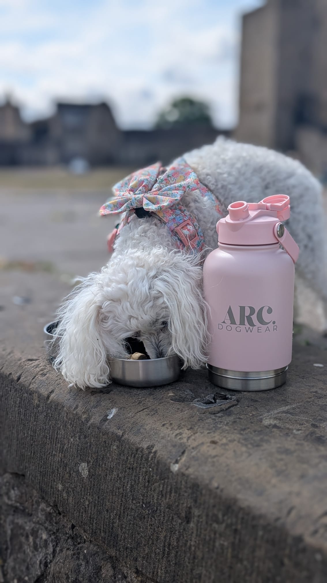 The Venture Bottle