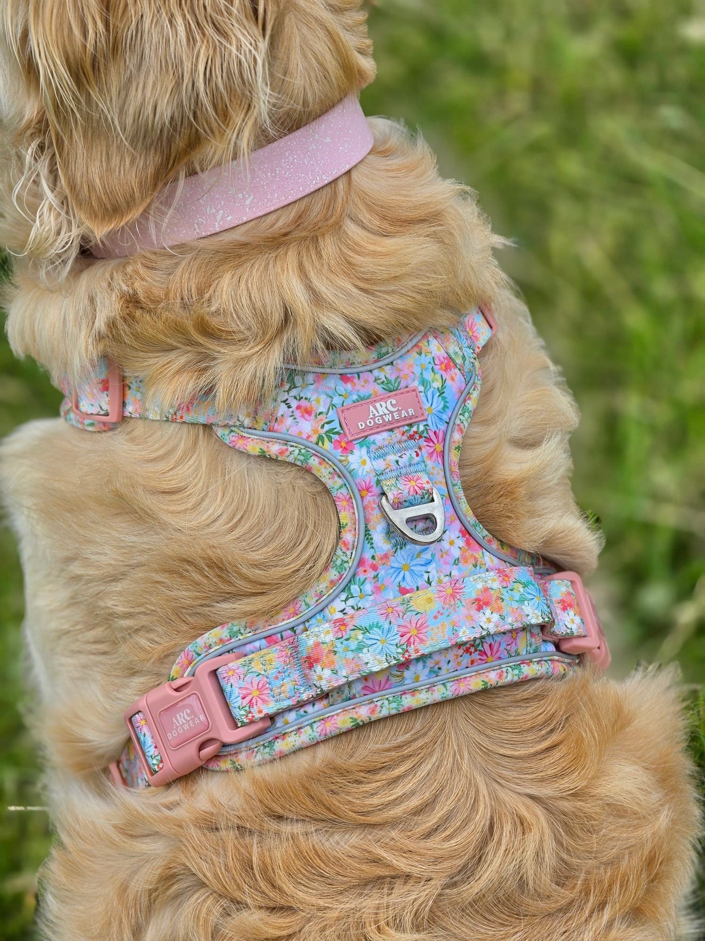 Flora ARC. Adventurer Harness