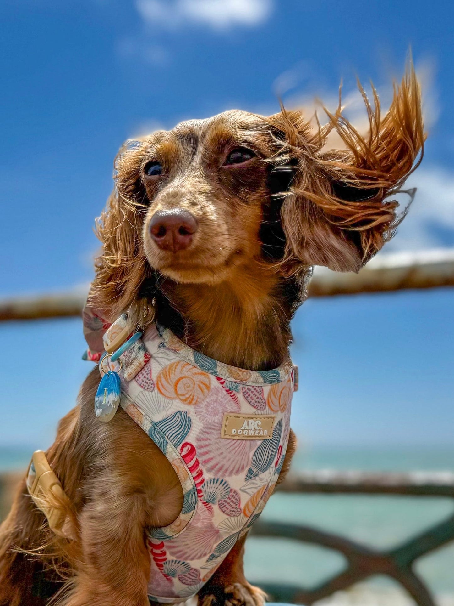 Say-Shells Adjustable Harness