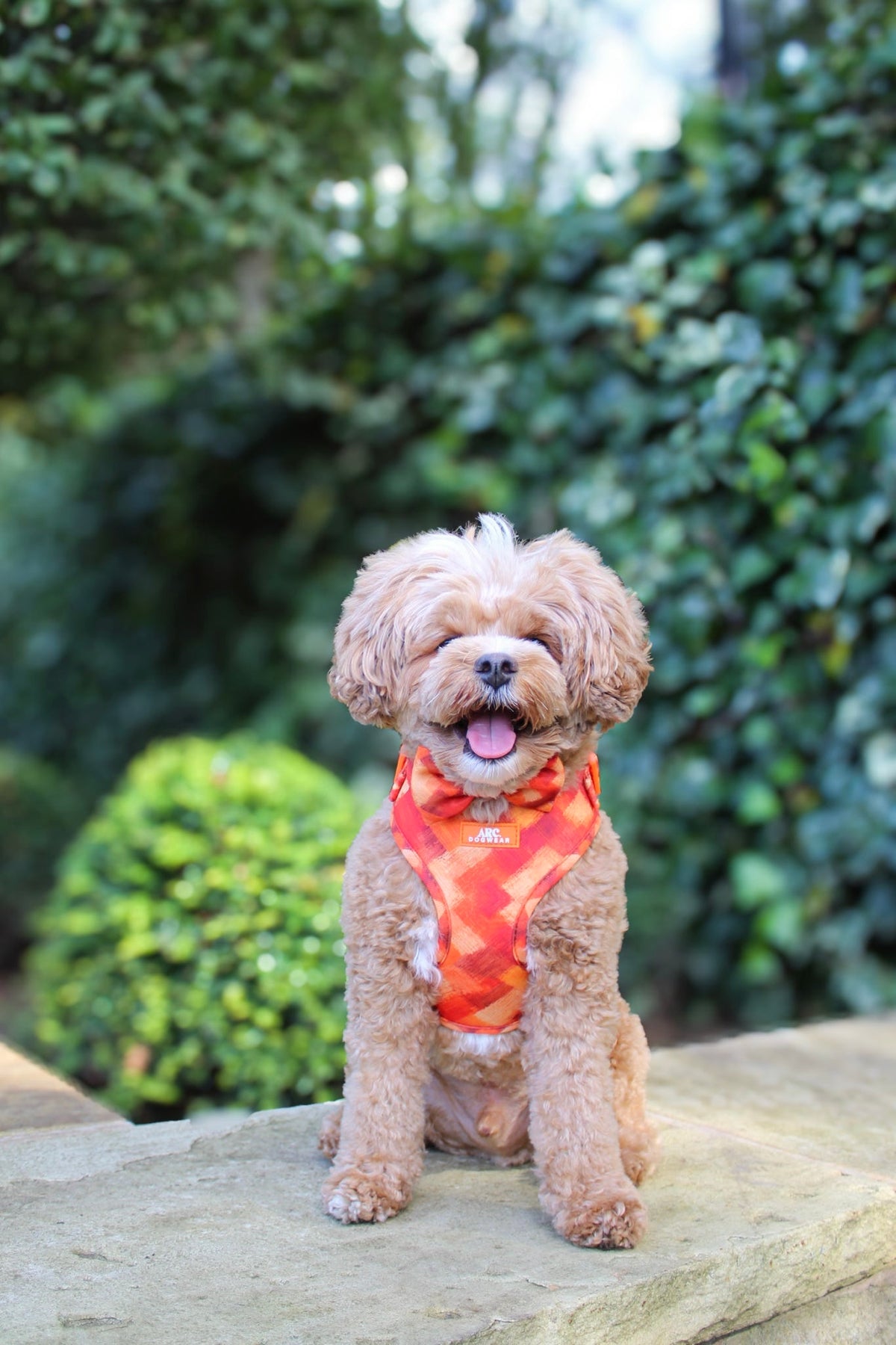 Auburn Bow Tie