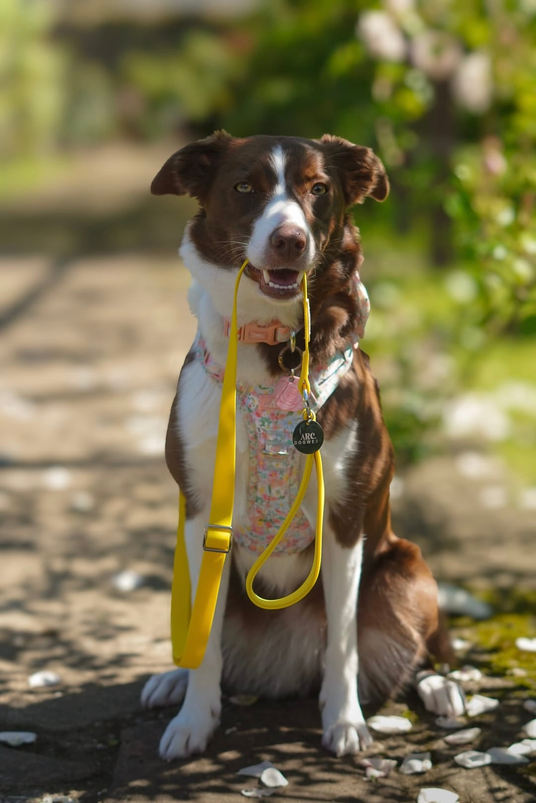 All-Weather Adjustable Lead