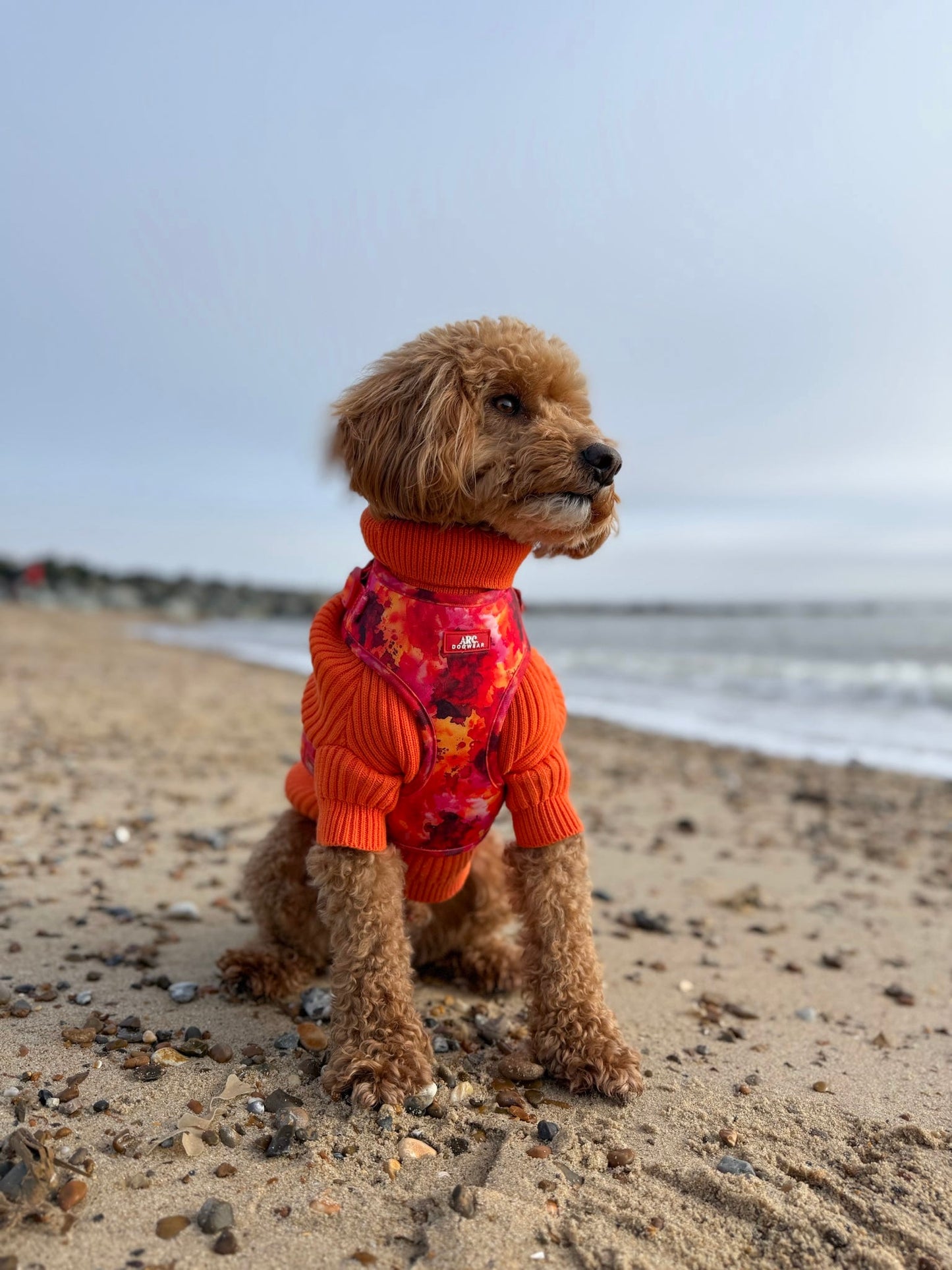 Ember Adjustable Harness