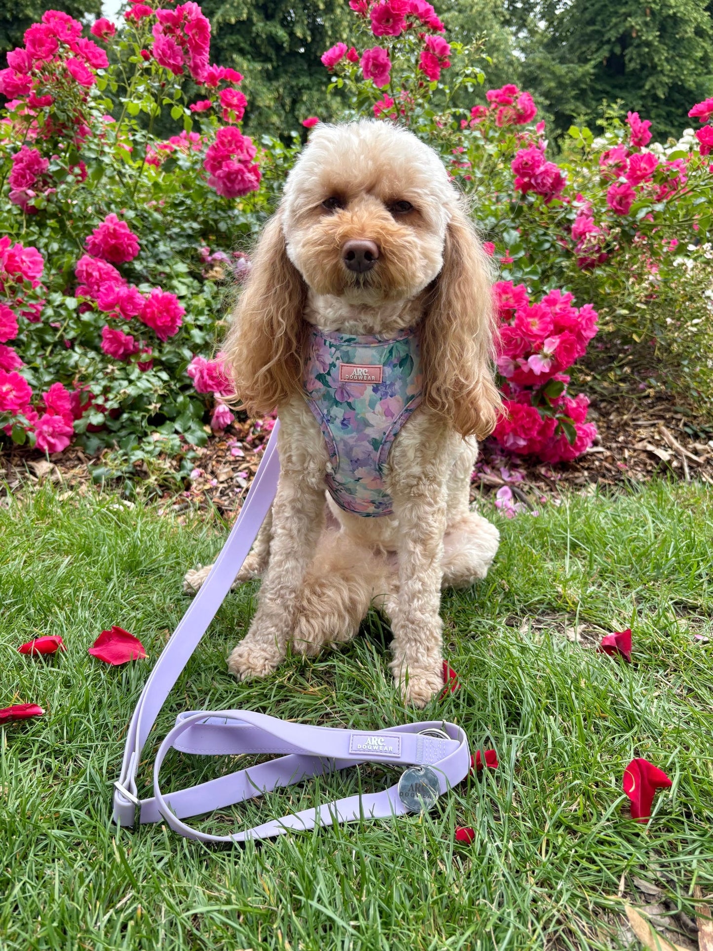 All-Weather Adjustable Lead