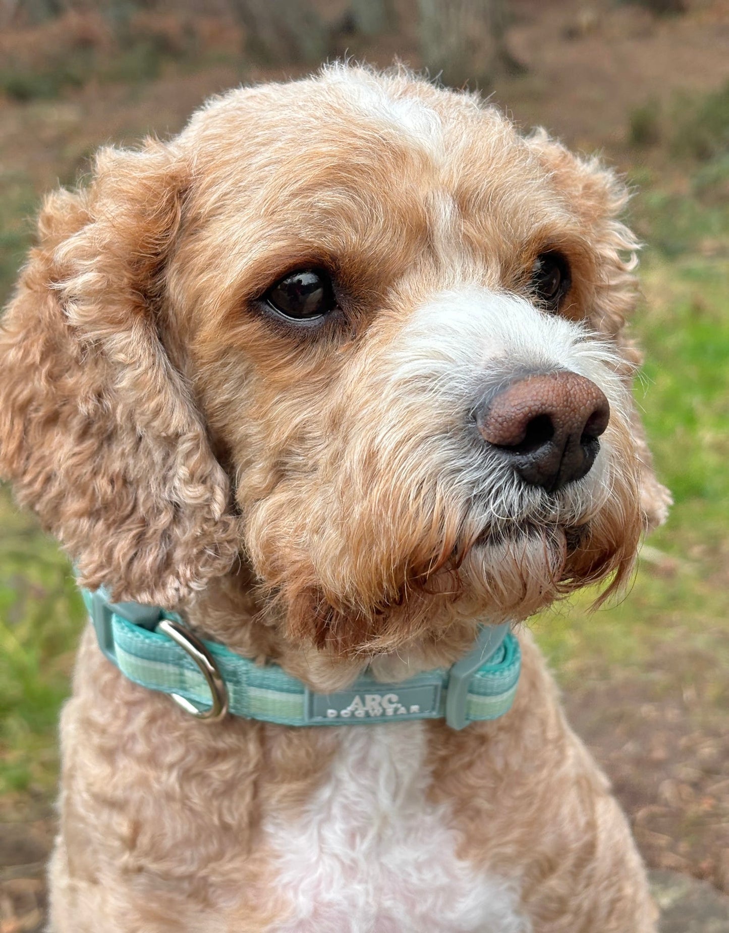 Vista Adjustable Collar