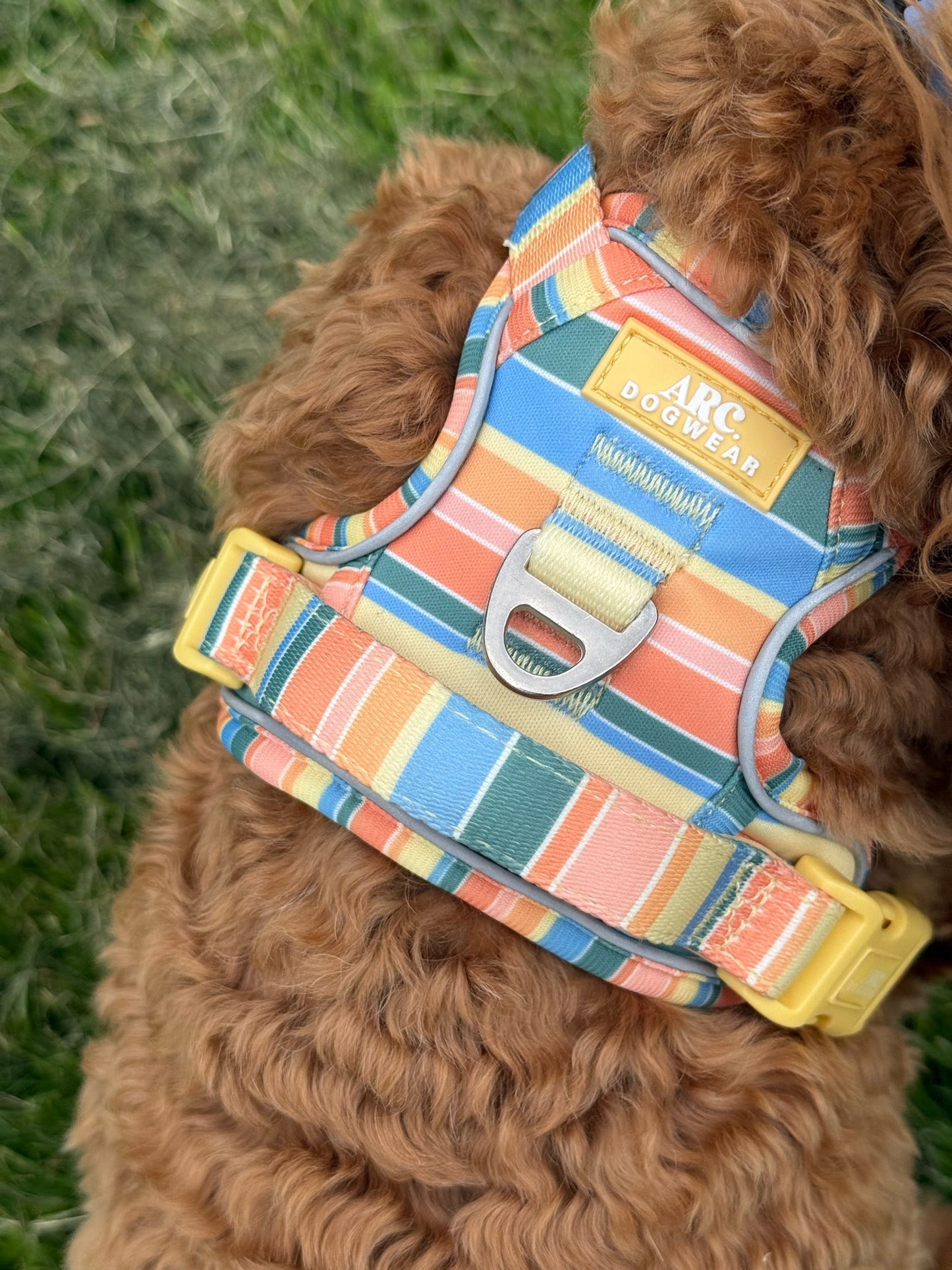 Sete ARC. Adventurer Harness