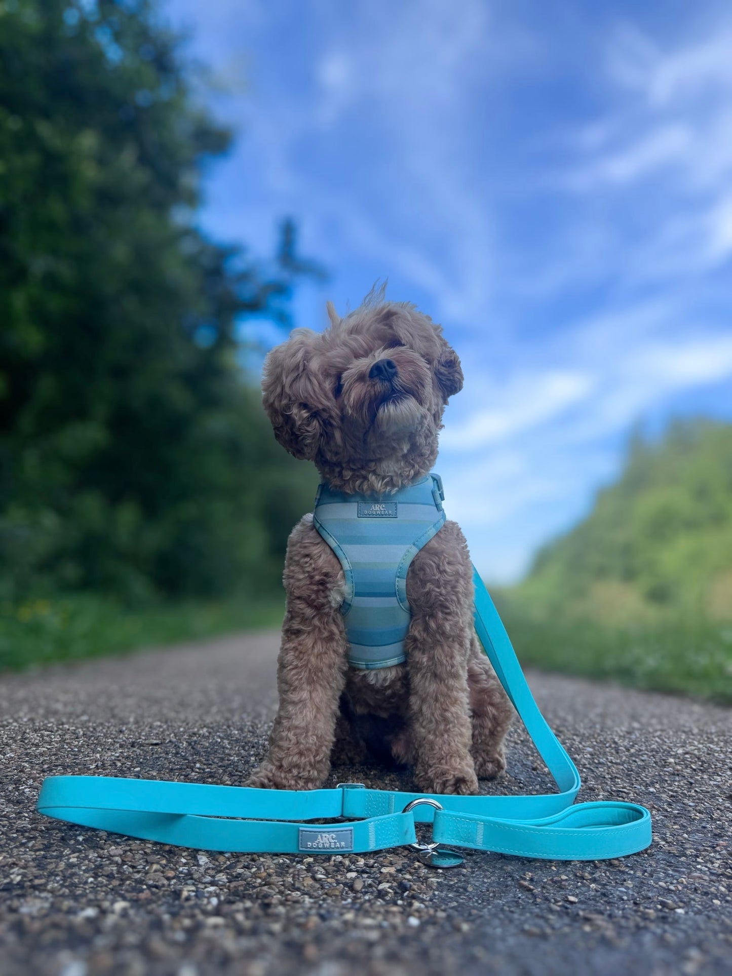 All-Weather Adjustable Lead
