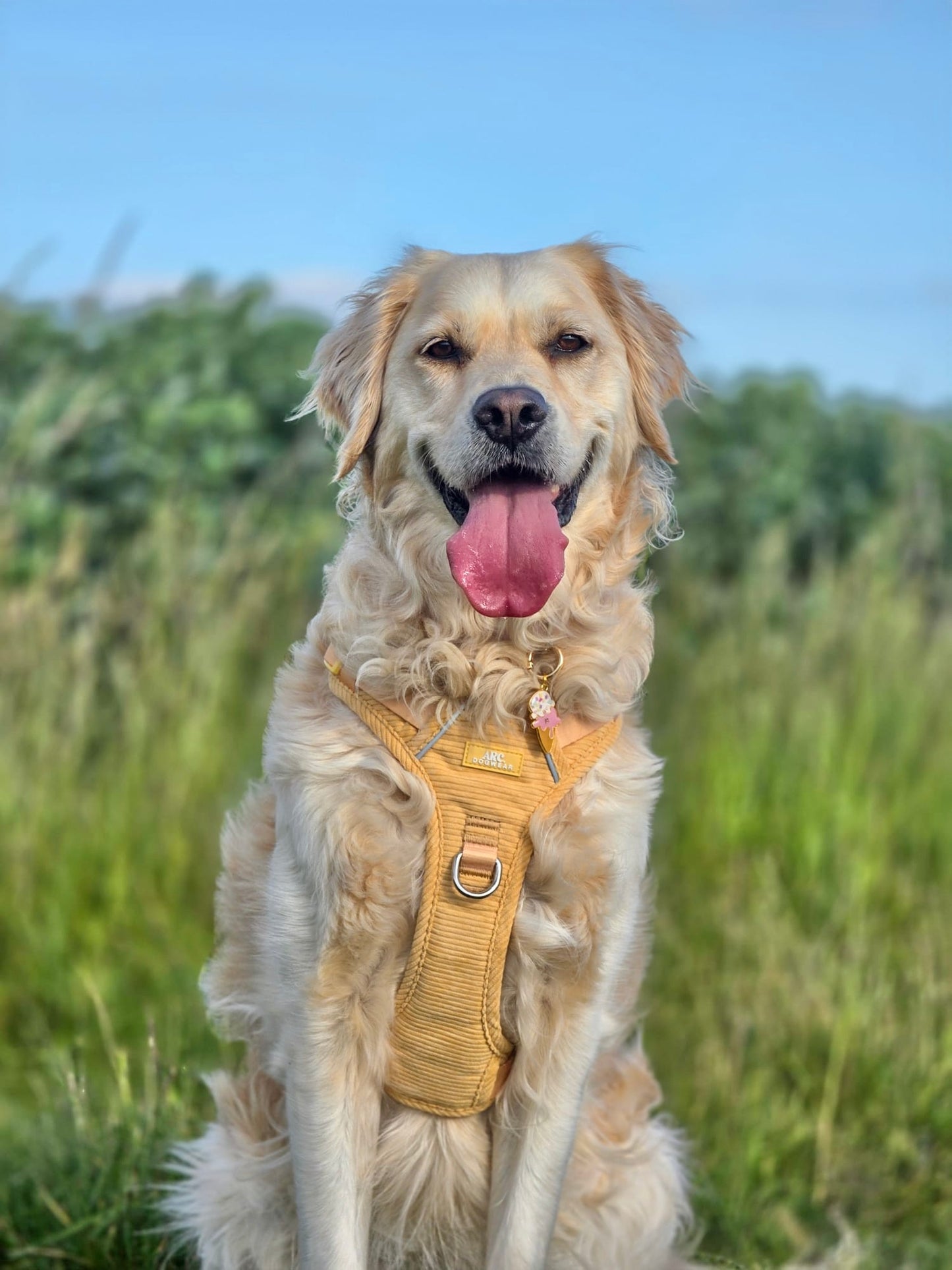 Sol ARC. Adventurer Harness (Corduroy)