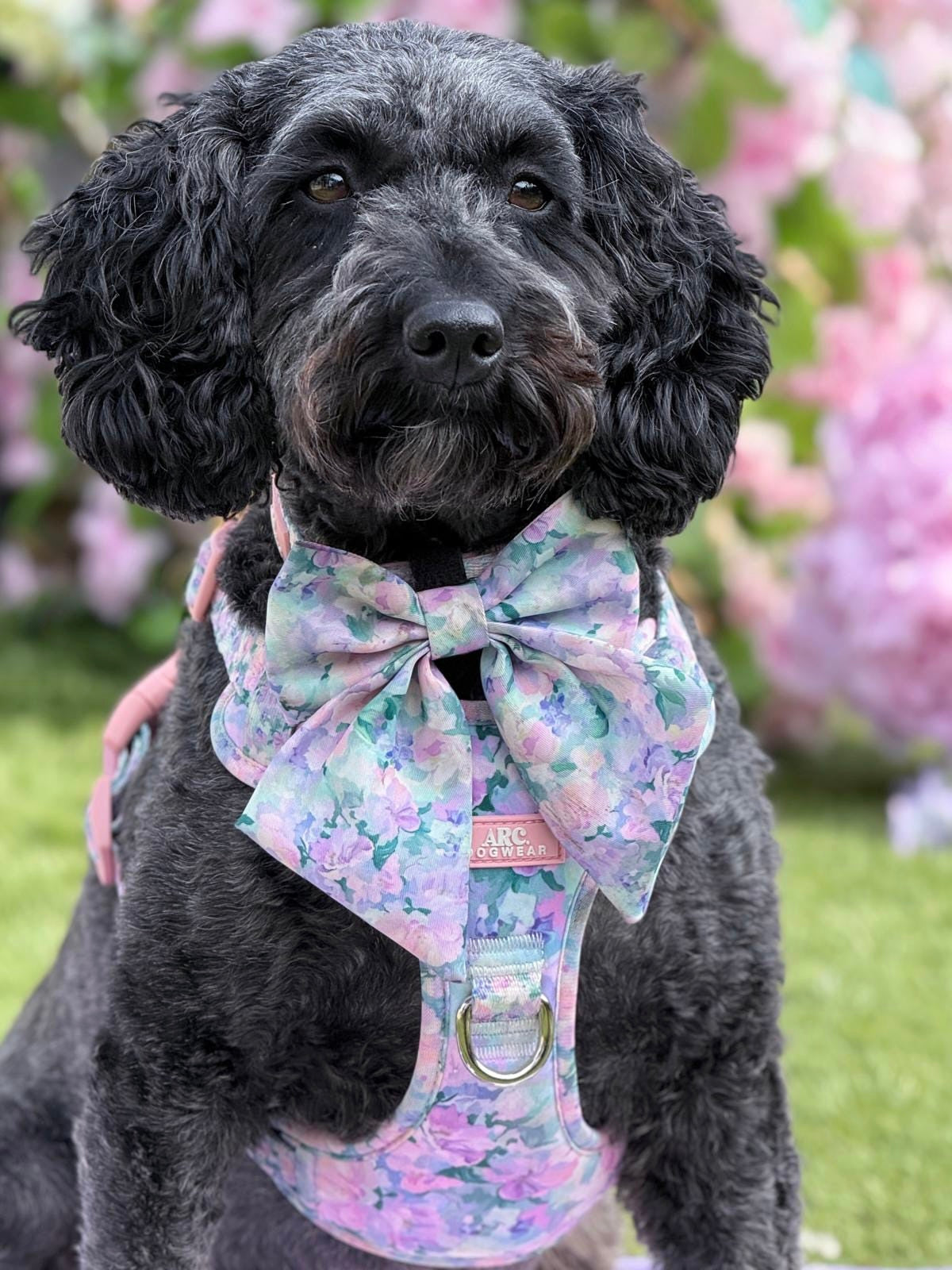 Mellie's Meadow ARC. Adventurer Harness