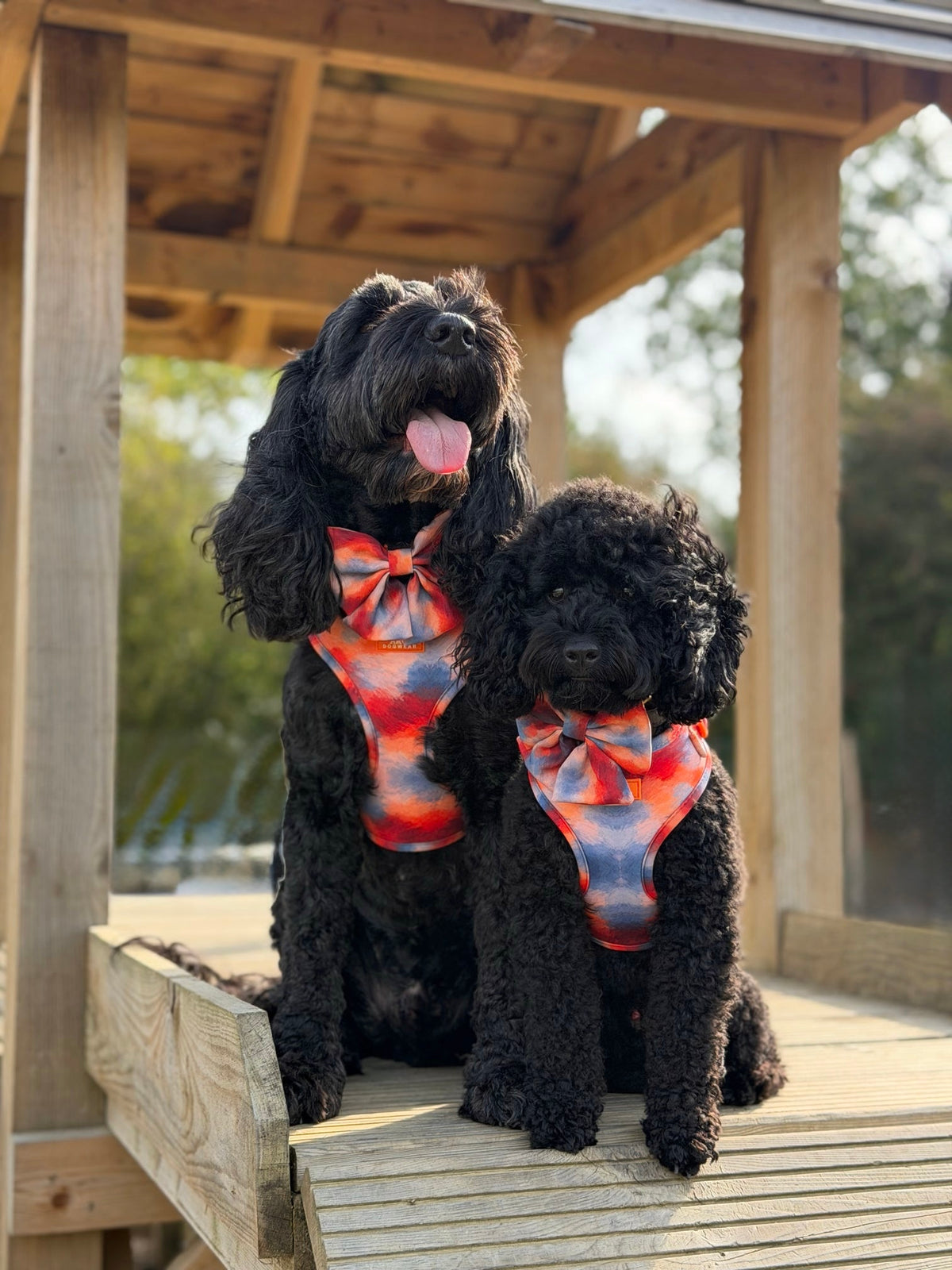 Canopy Adjustable Harness