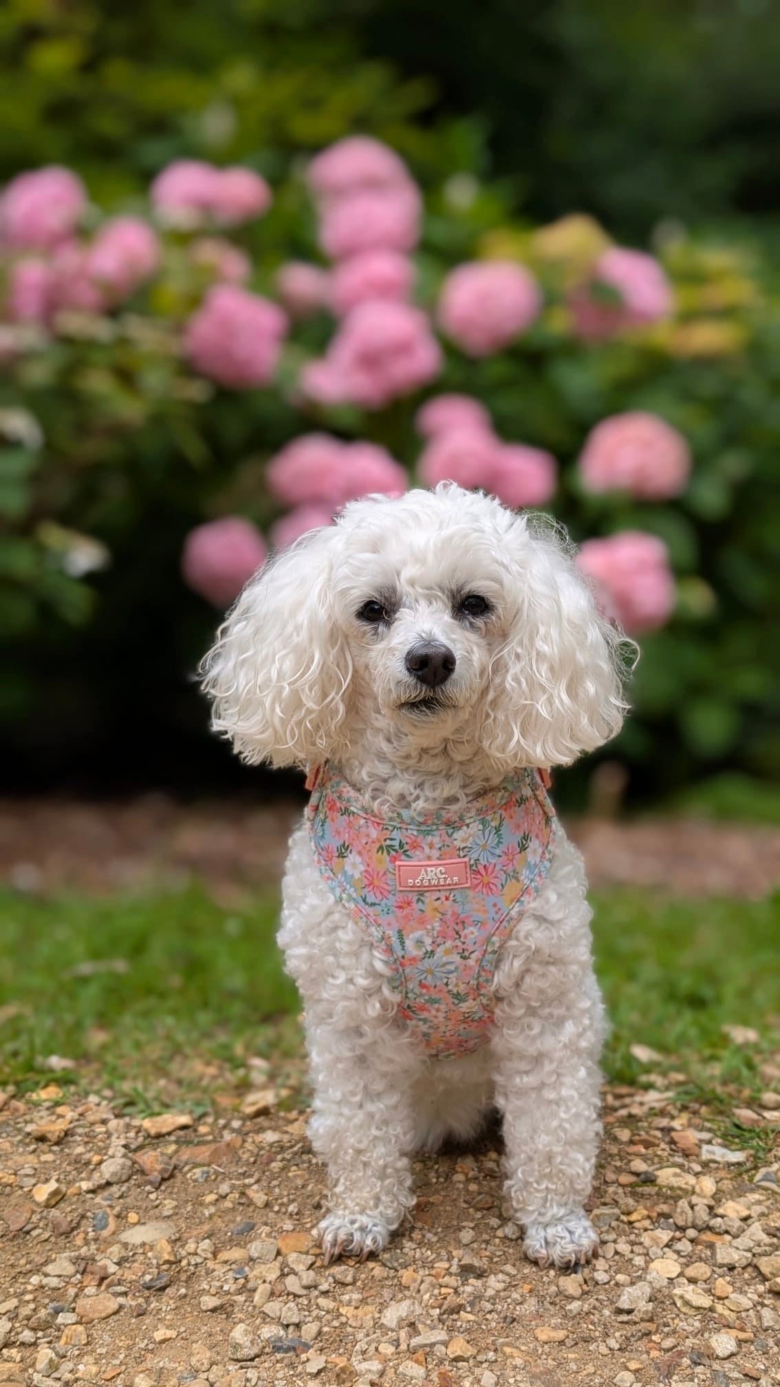 Flora Adjustable Harness
