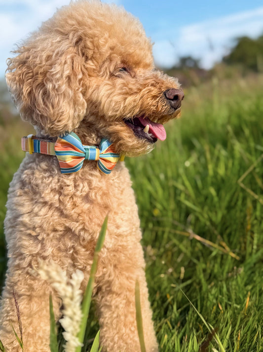 Sete Bow Tie