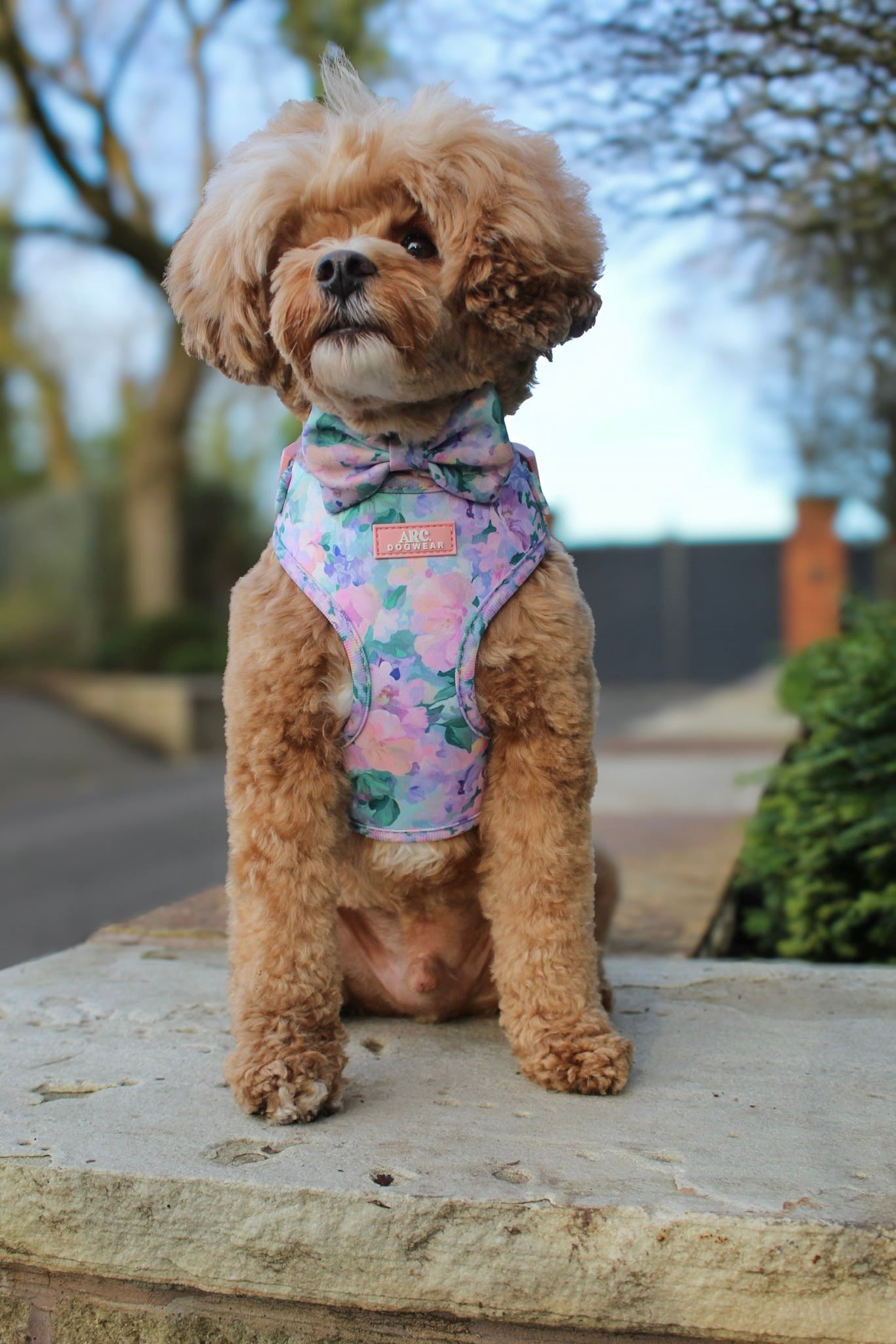 Mellie's Meadow Bow Tie