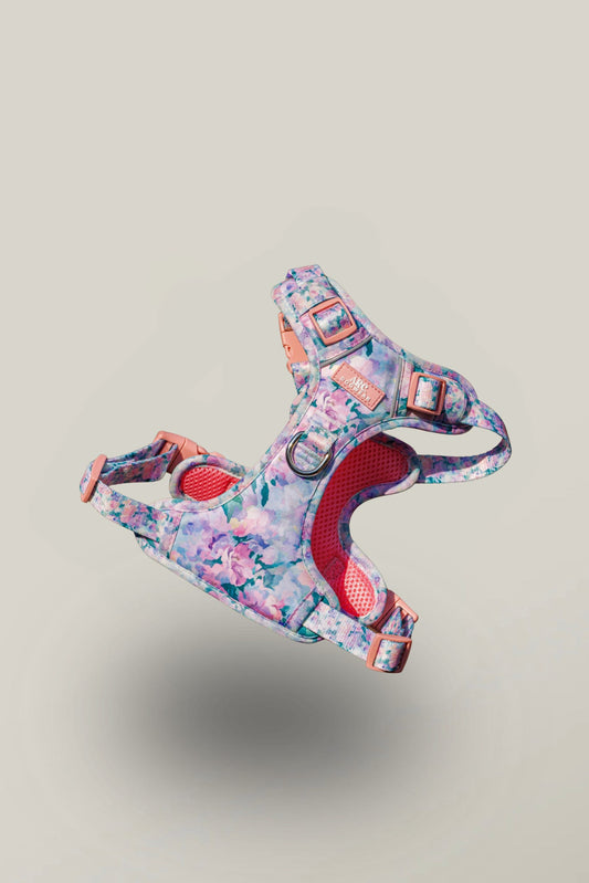 Mellie's Meadow ARC. Adventurer Harness