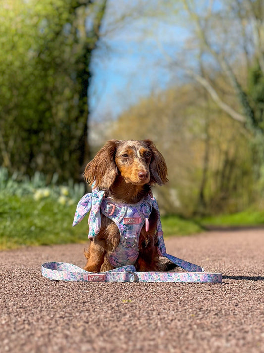 Mellie's Meadow Adjustable Lead