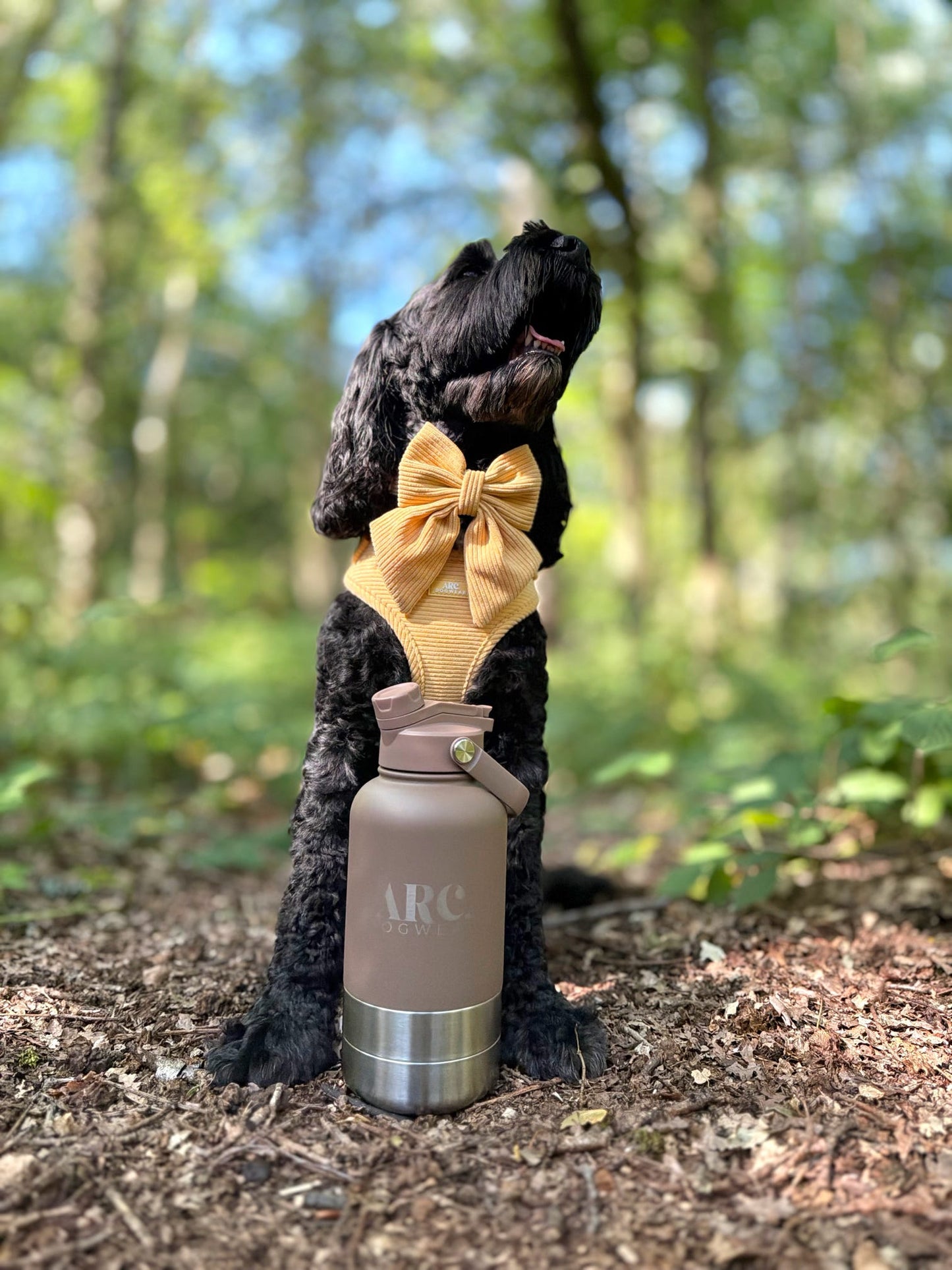 The Venture Bottle