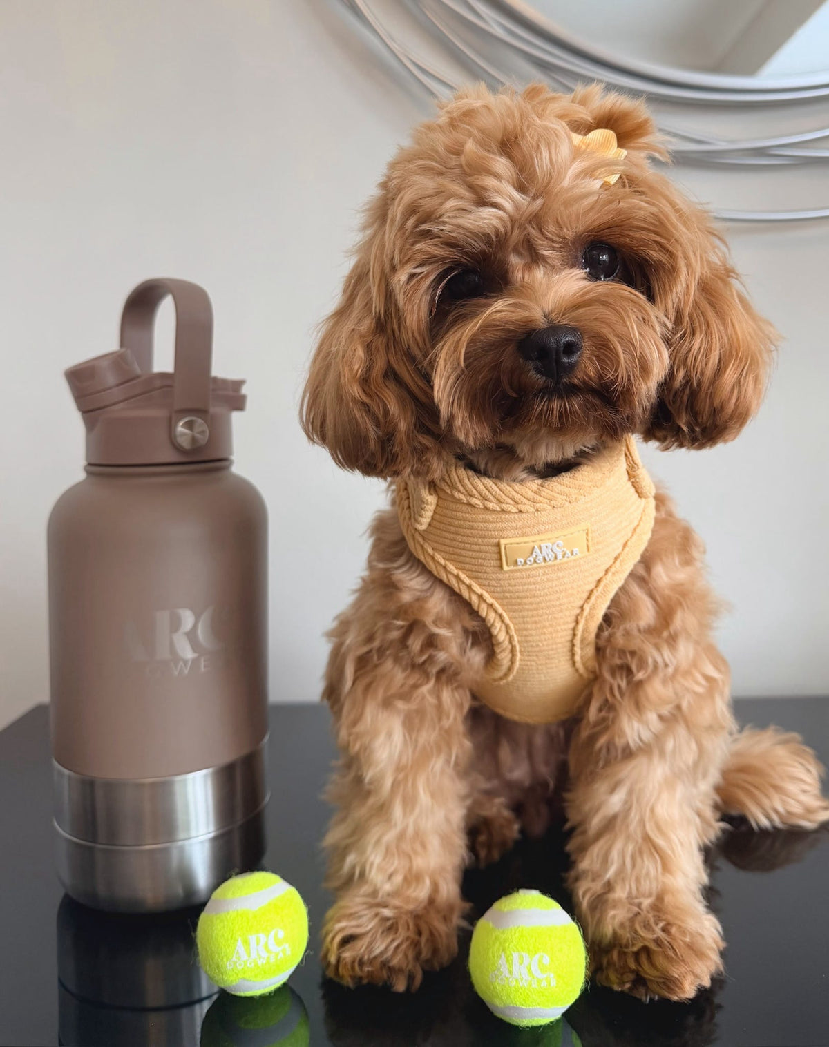 The Venture Bottle