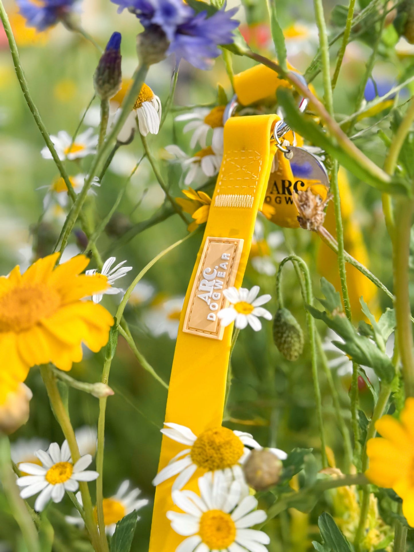 All-Weather Adjustable Lead