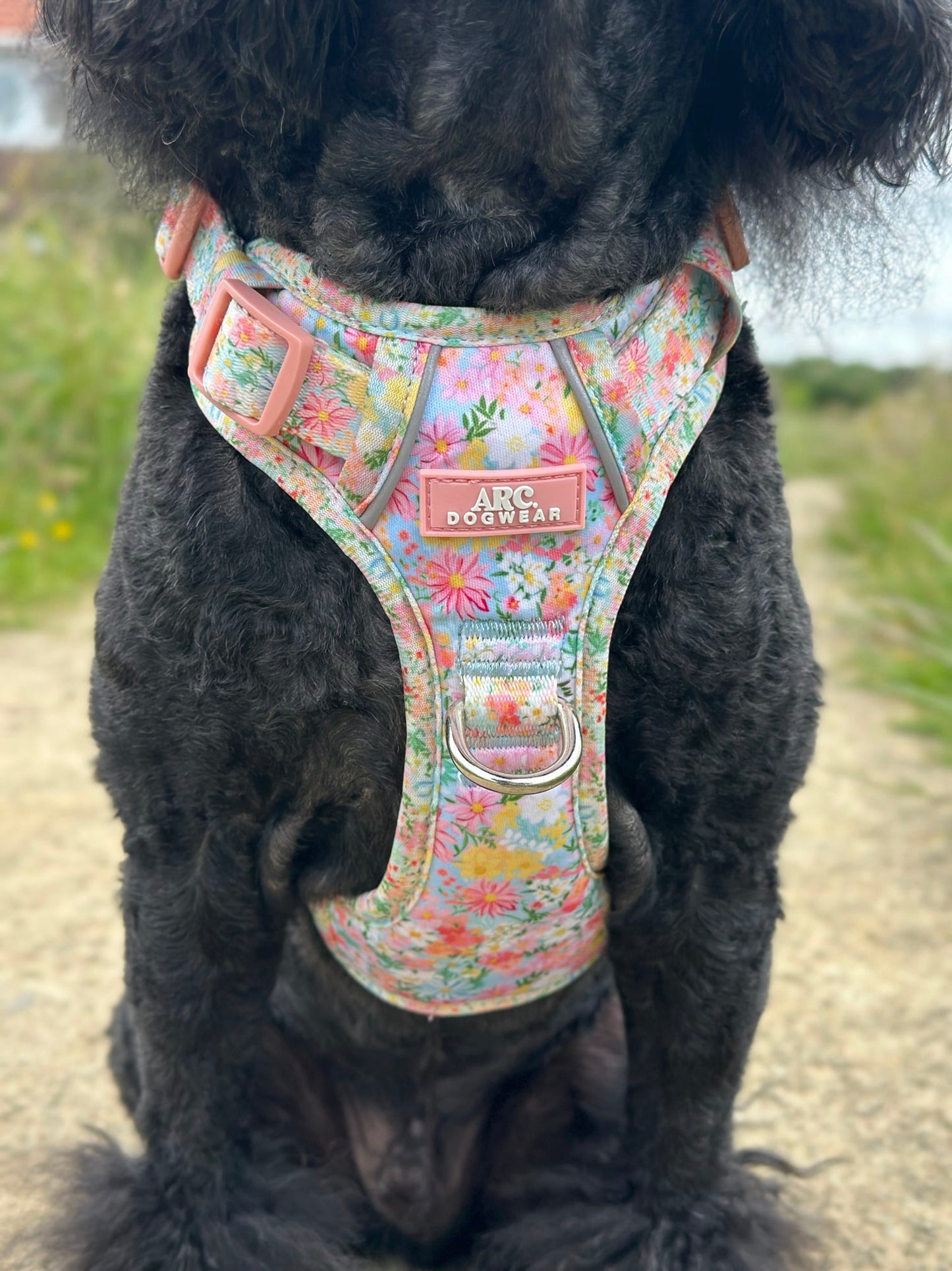 Flora ARC. Adventurer Harness