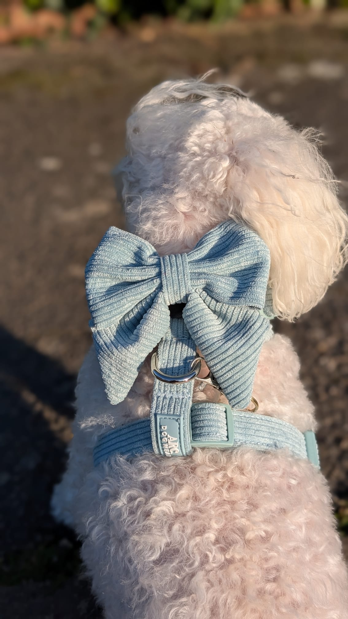 Celadon Adjustable Harness (Corduroy)