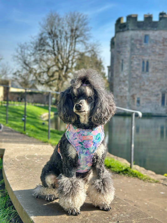 Mellie's Meadow Adjustable Harness