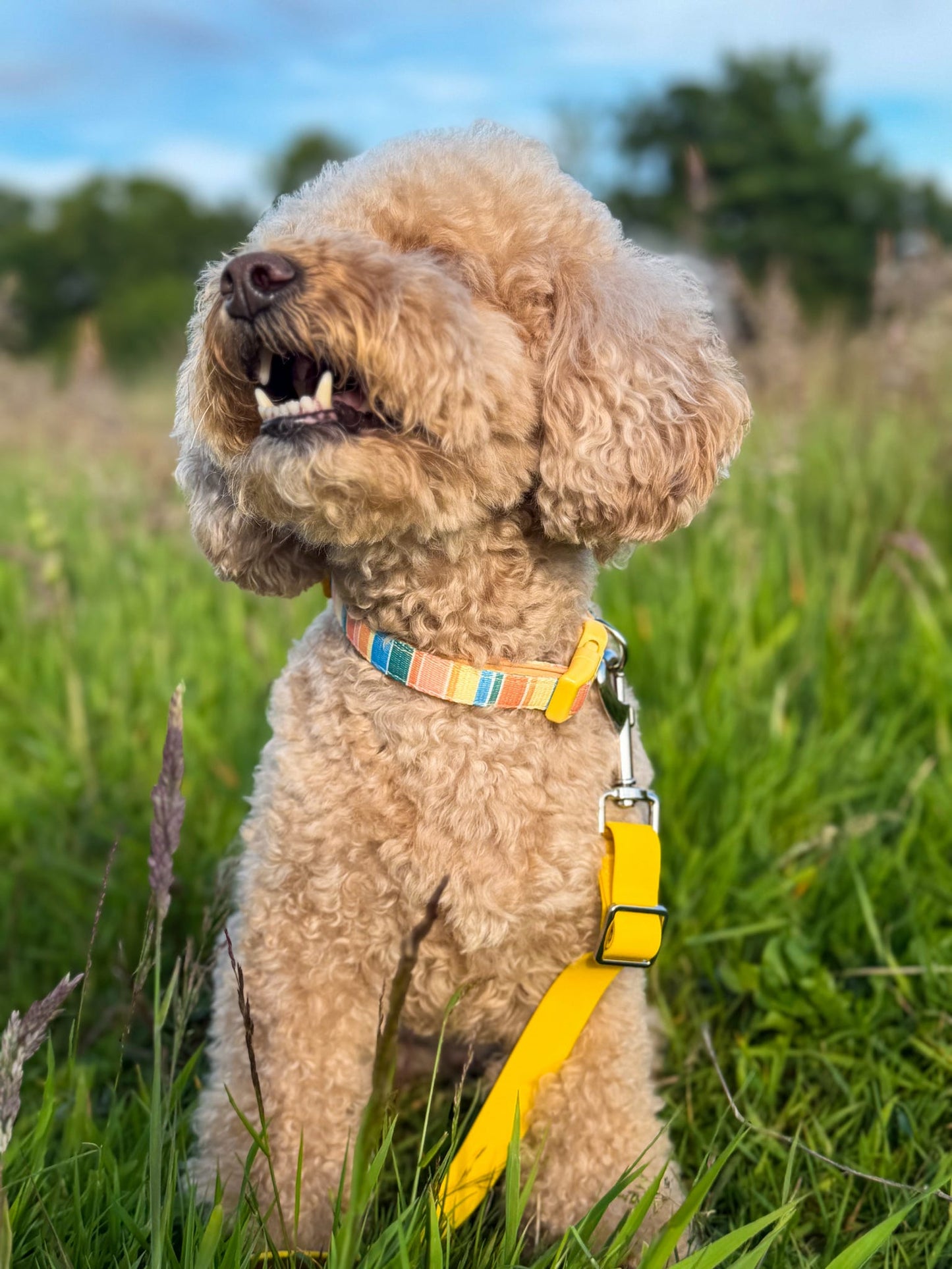 All-Weather Adjustable Lead