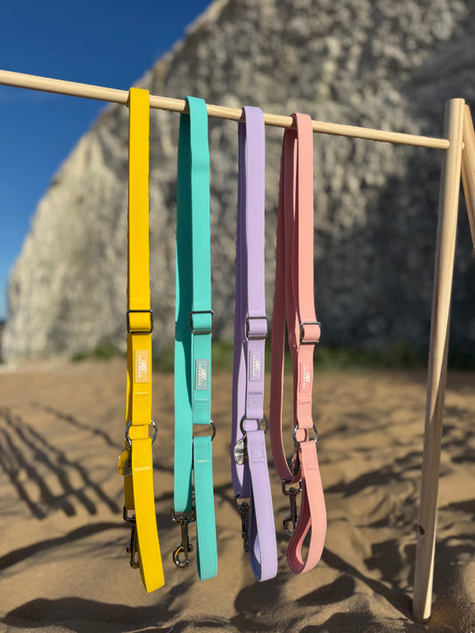 All-Weather Adjustable Lead
