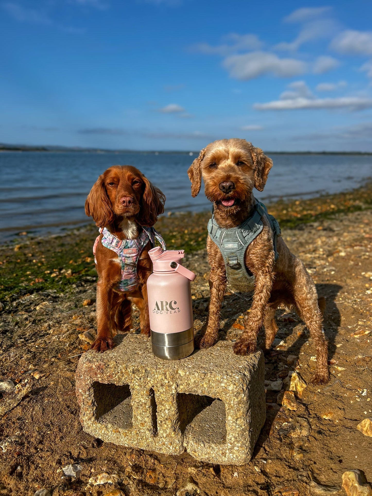 The Venture Bottle