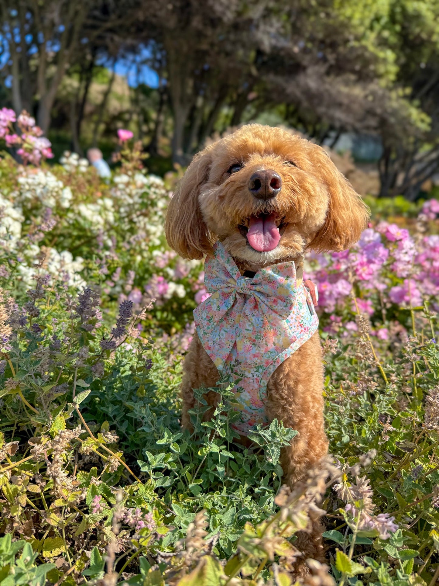 Flora Sailor Bow (Longer Tails)