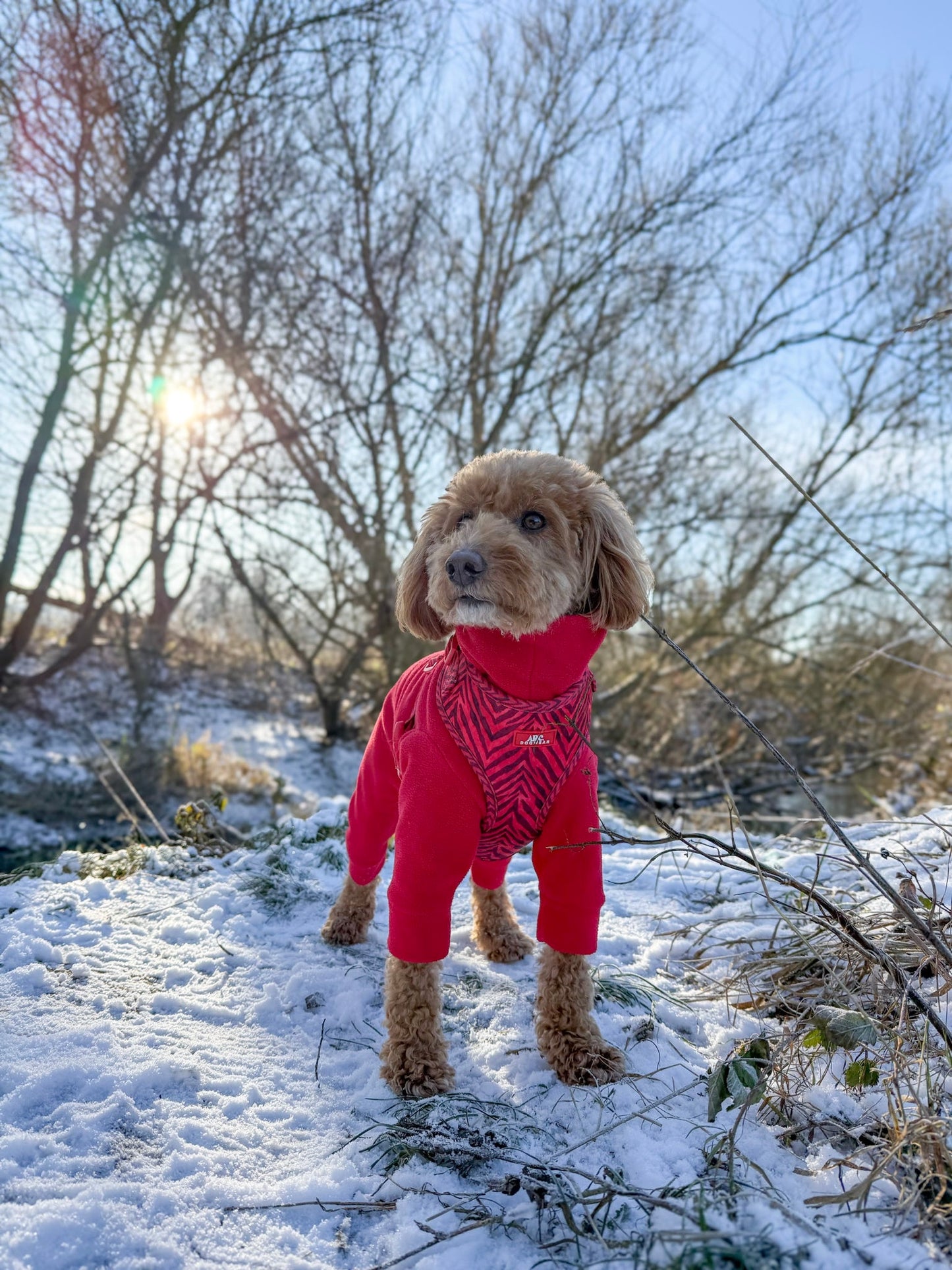 Wild at Heart Adjustable Harness