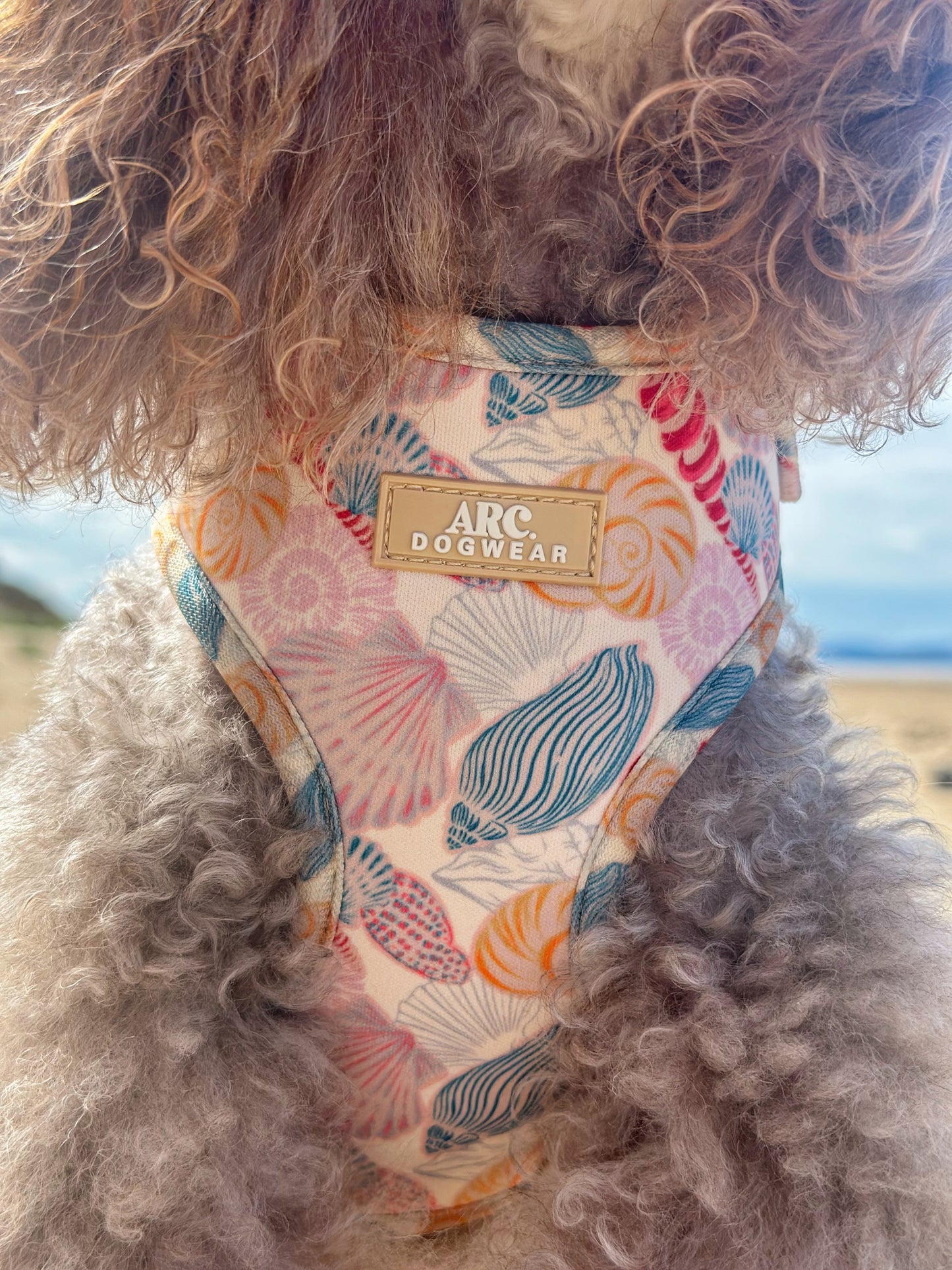 Say-Shells Adjustable Harness