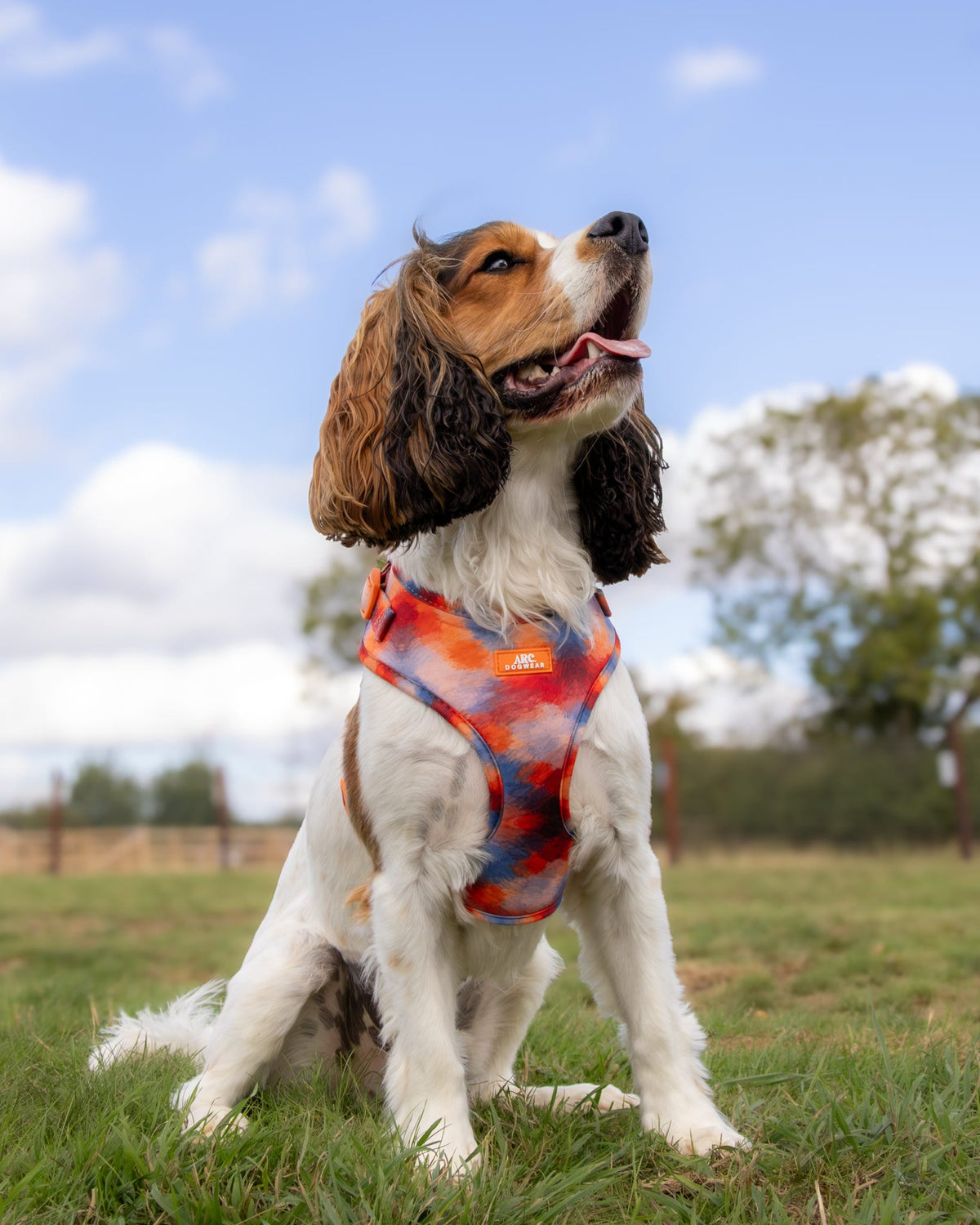 Canopy Adjustable Harness