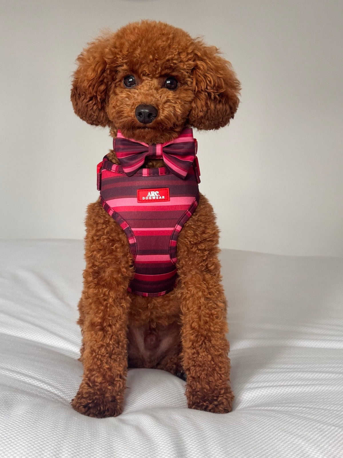 Bramble Bow Tie