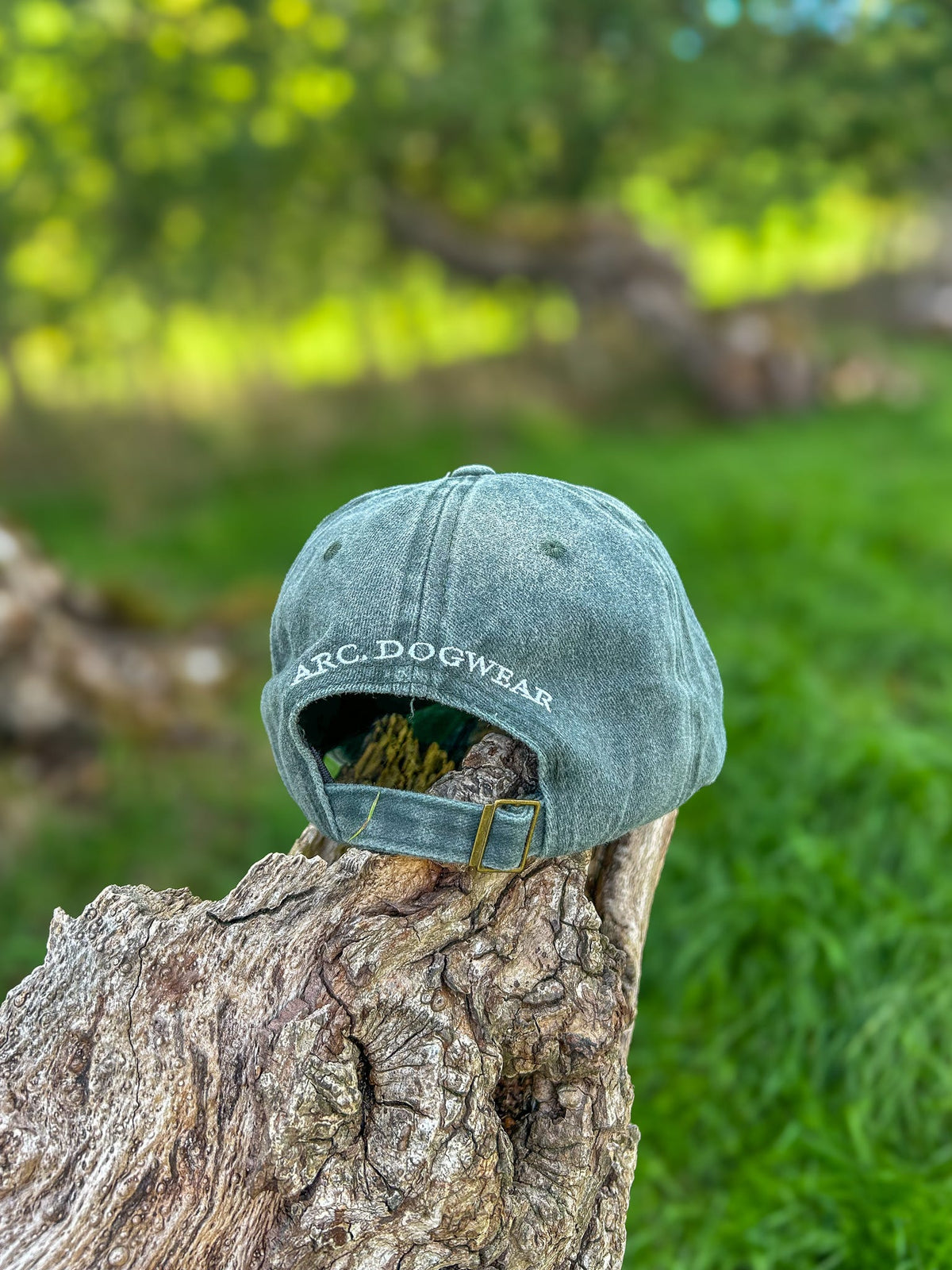 The Venture Cap