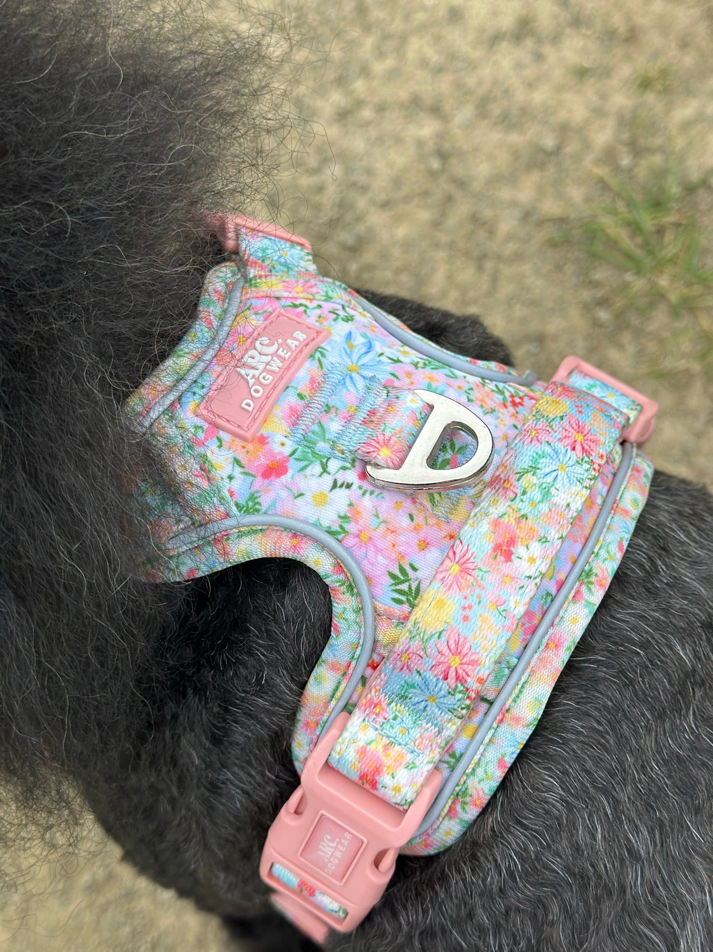 Flora ARC. Adventurer Harness