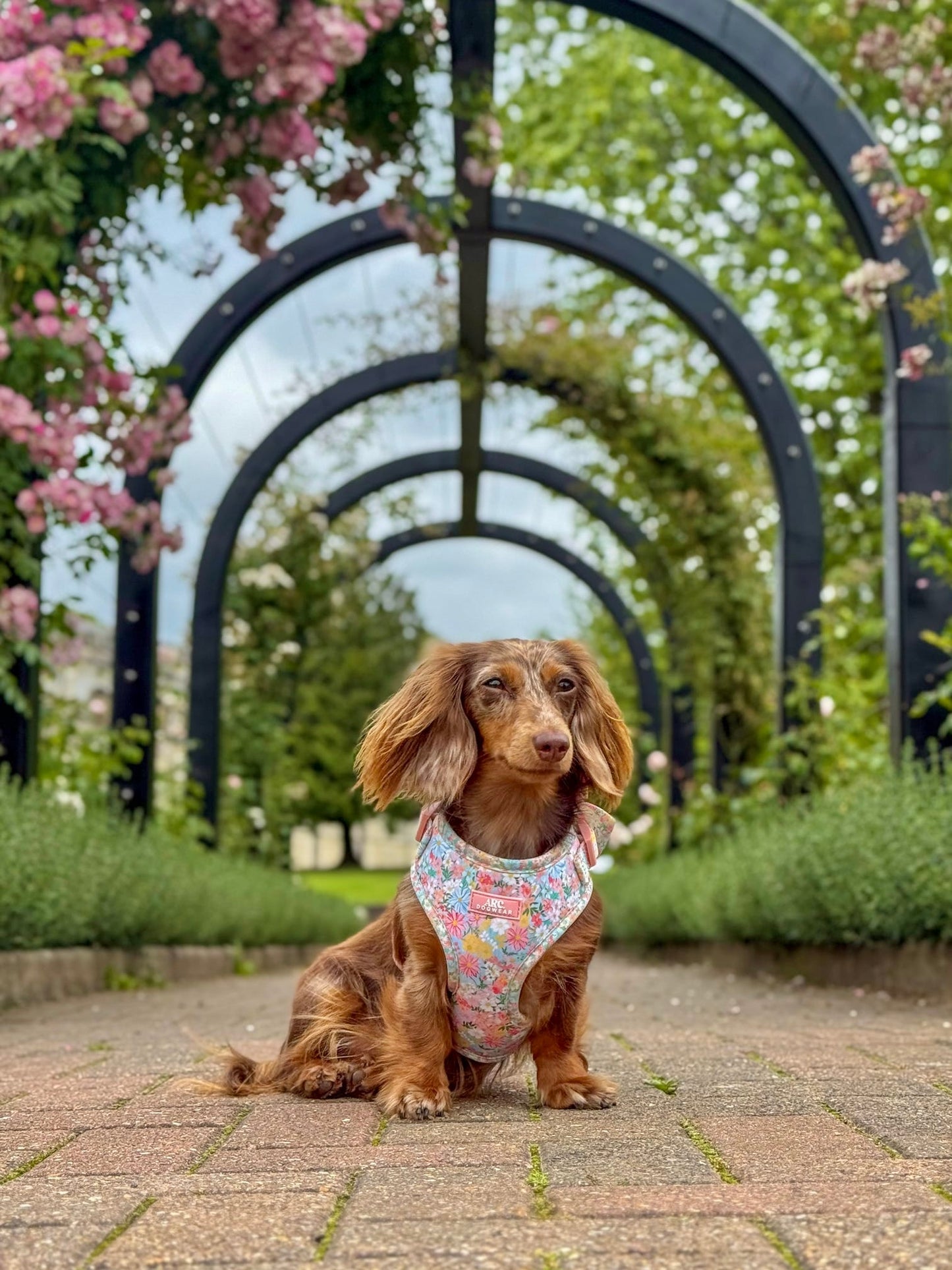 Flora Adjustable Harness