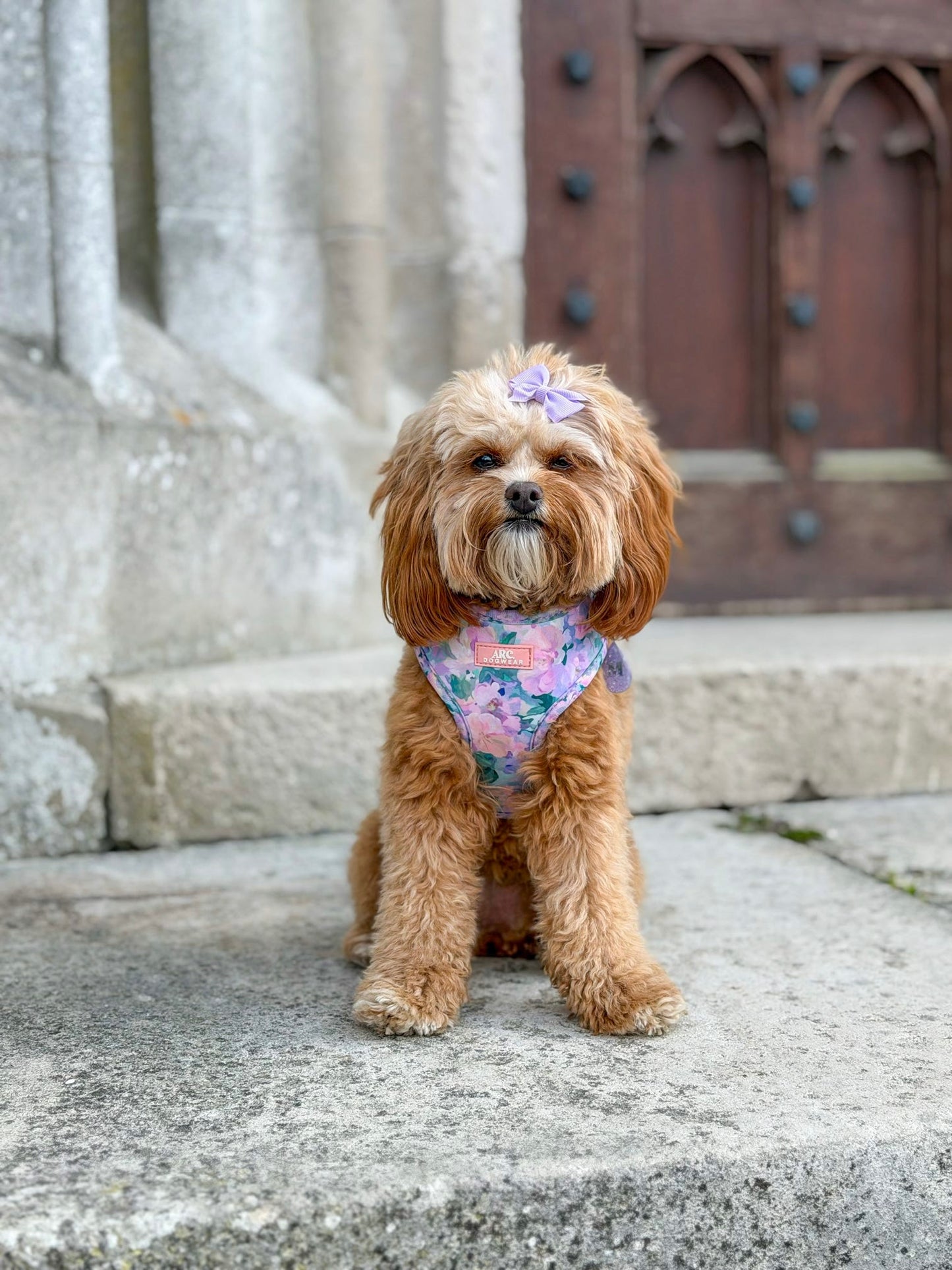 Mellie's Meadow Adjustable Harness