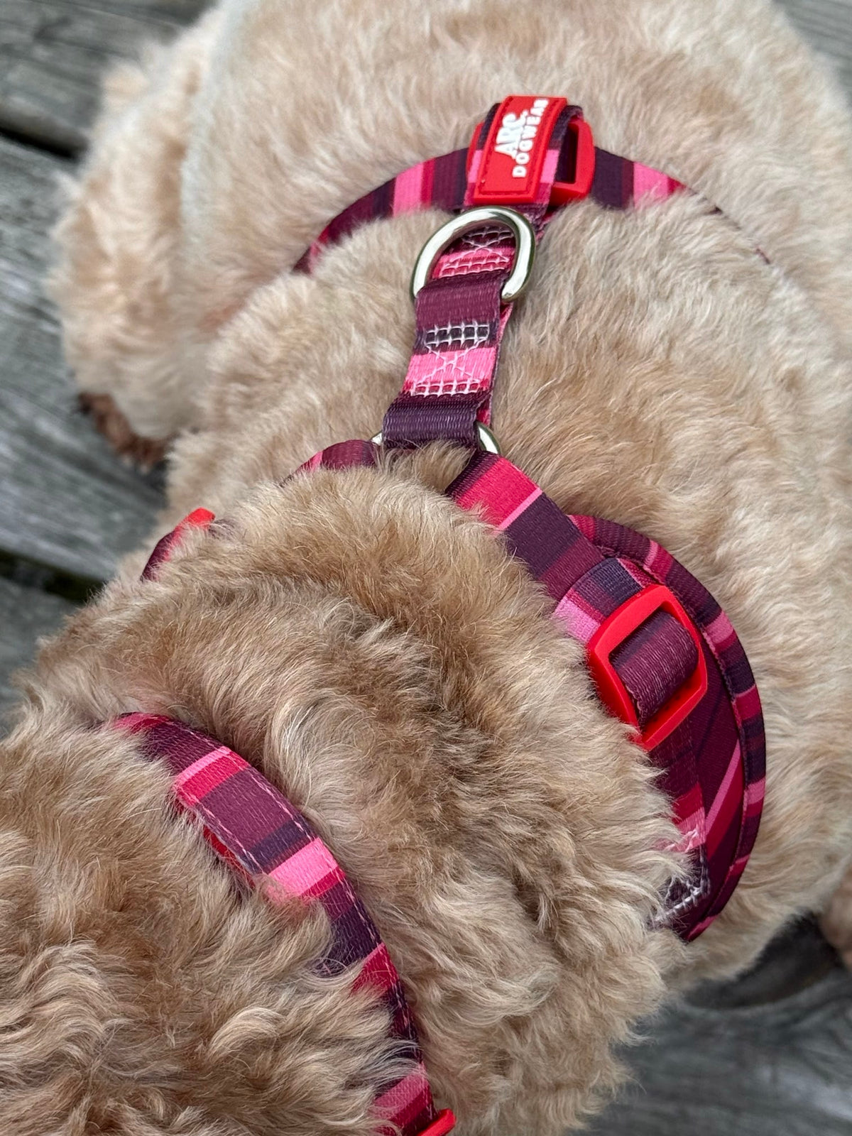 Bramble Adjustable Harness