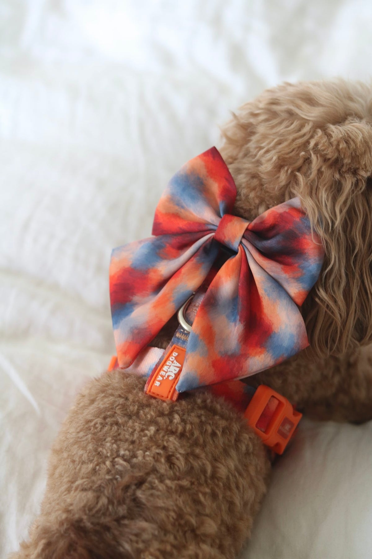 Canopy Sailor Bow