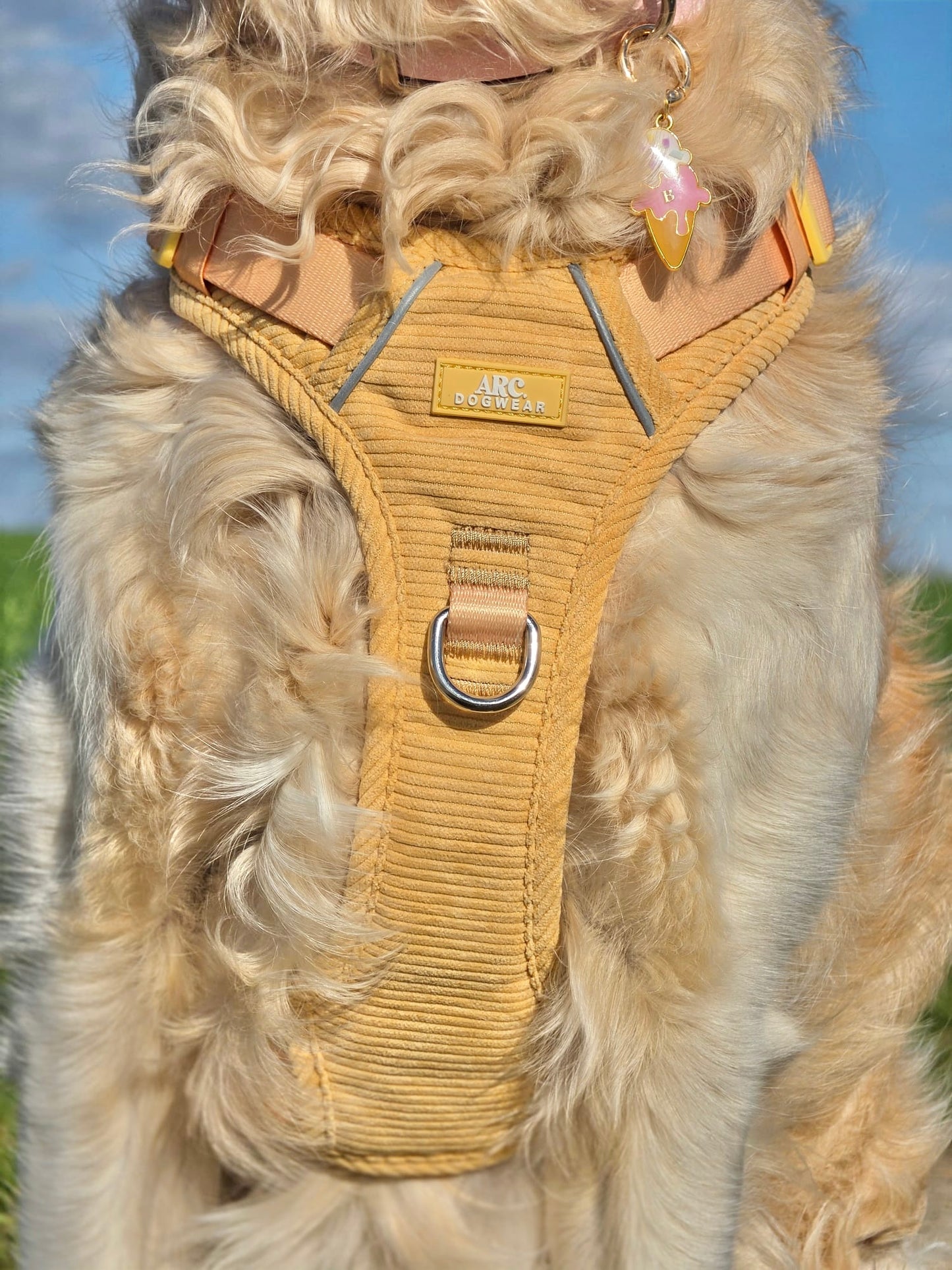 Sol ARC. Adventurer Harness (Corduroy)