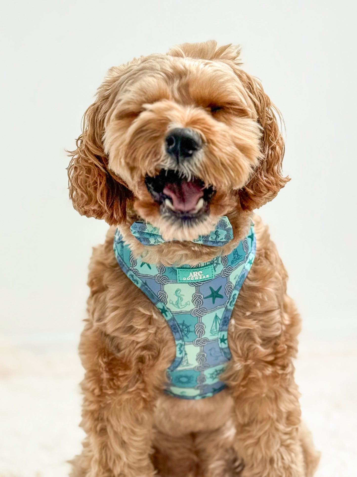 Sea-La-Vie Adjustable Harness