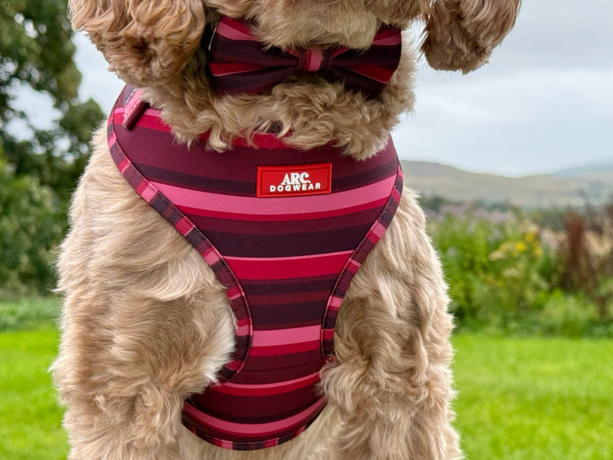 Bramble Bow Tie