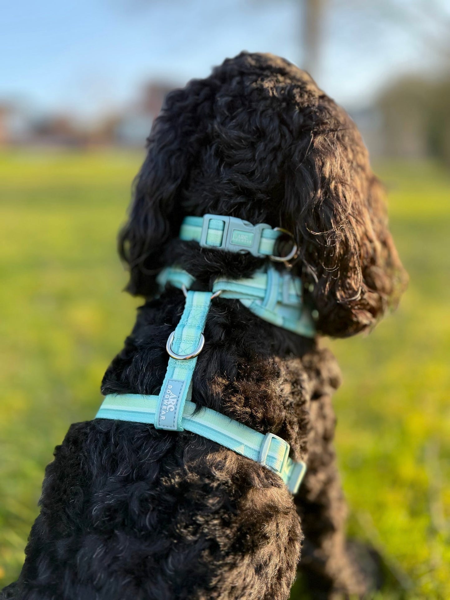 Vista Adjustable Collar