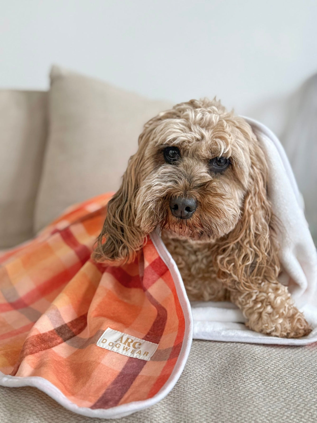 Harvest Pet Blanket