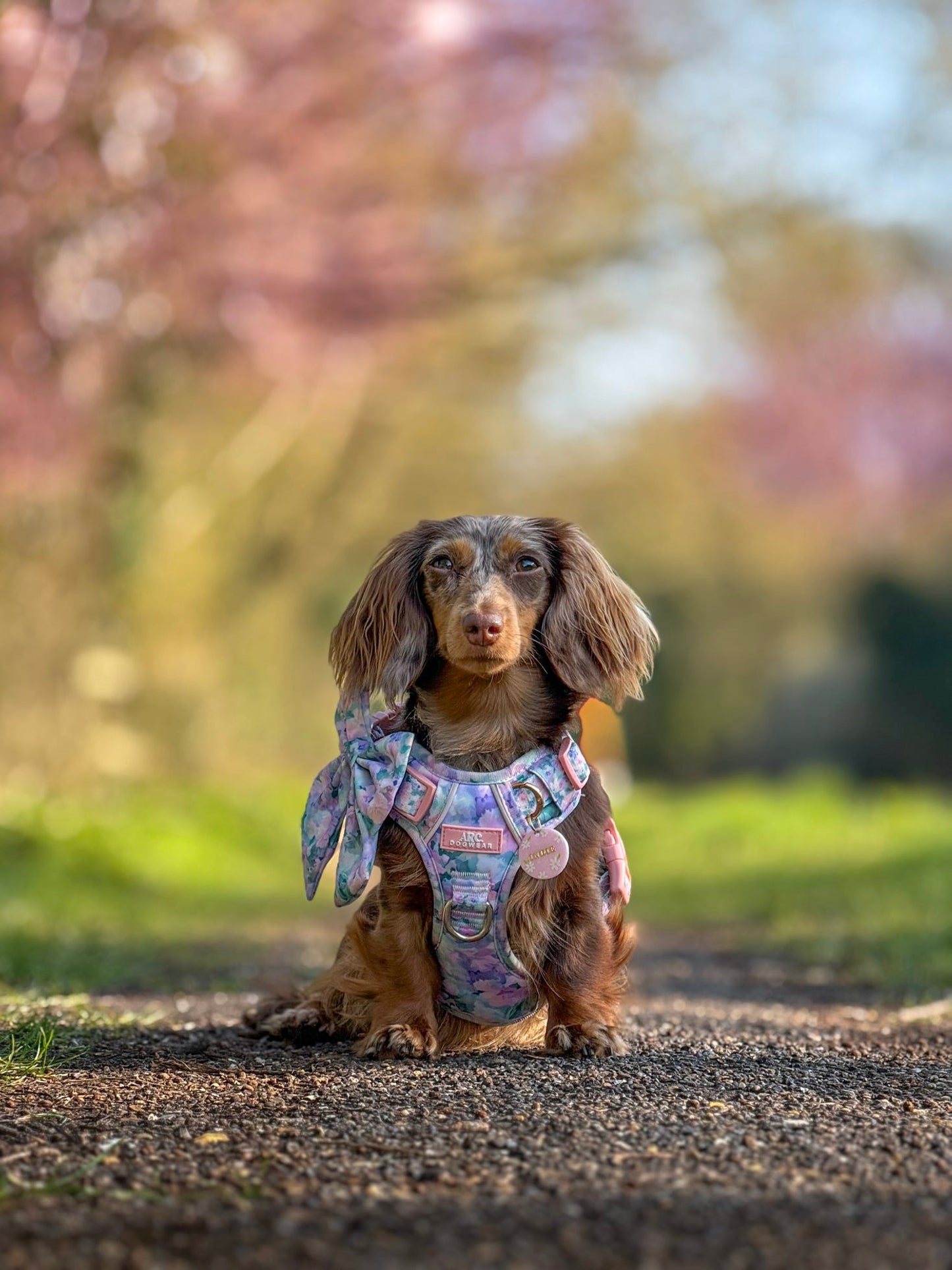 Mellie's Meadow ARC. Adventurer Harness